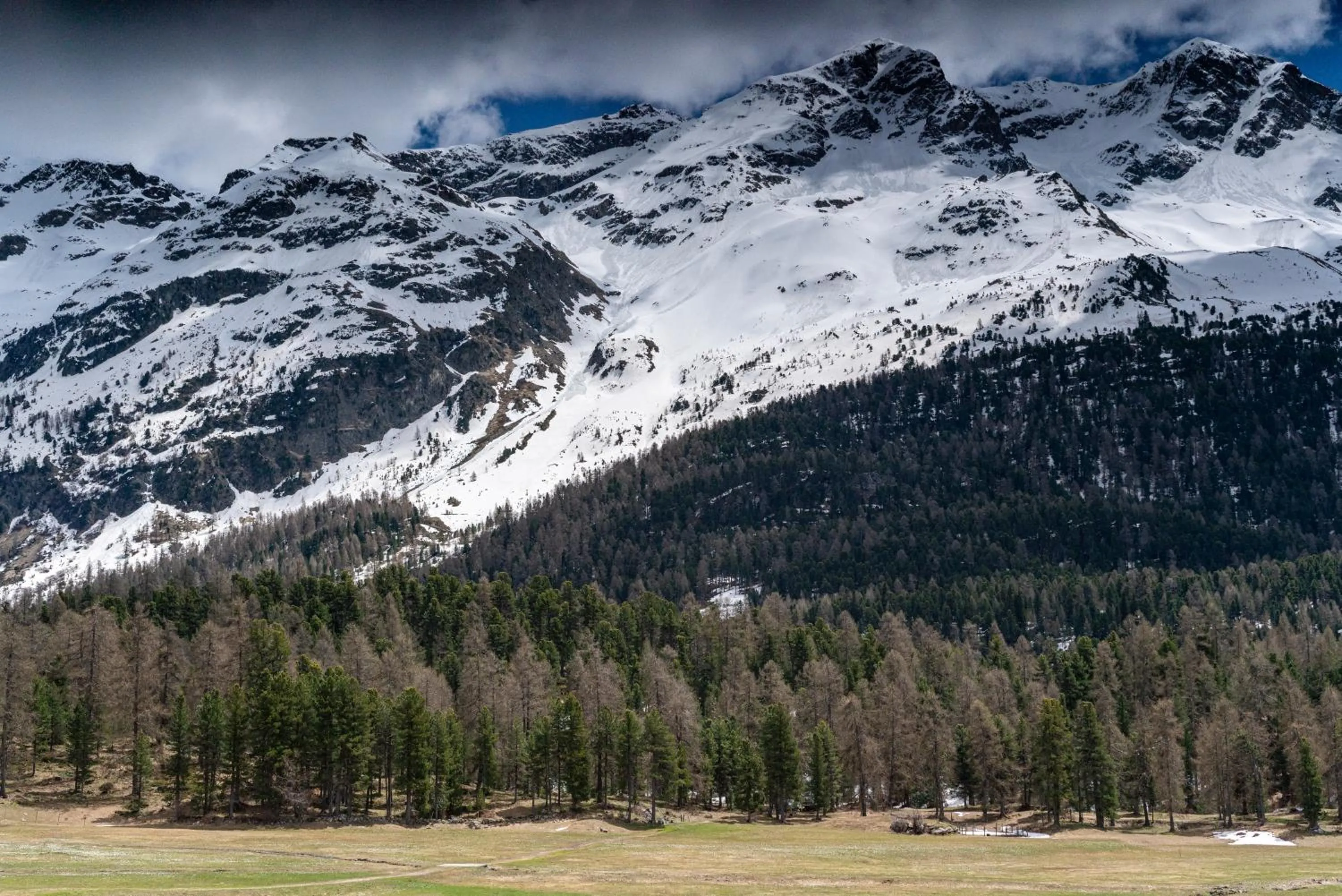 Hotel Europa Suites St Moritz