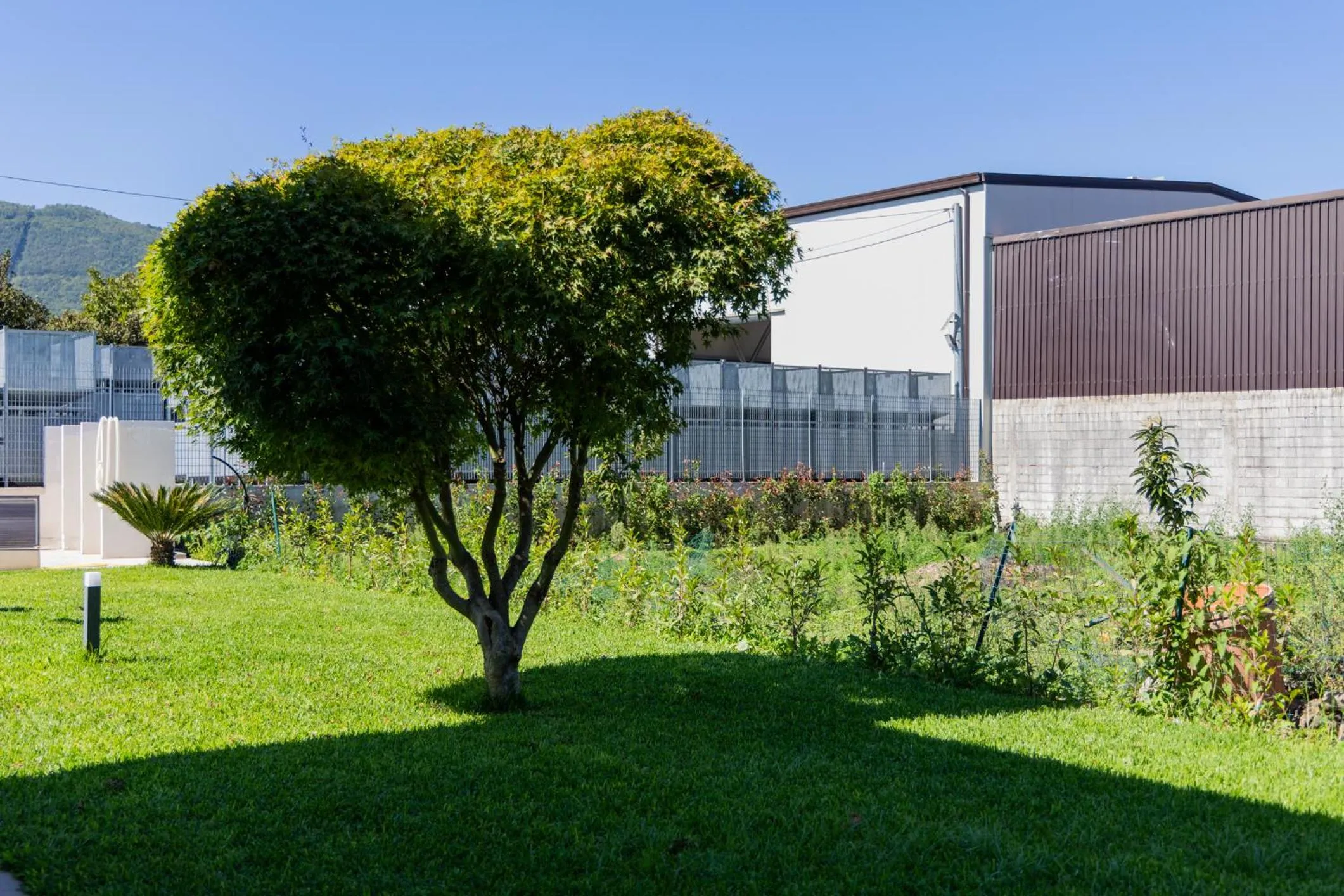 Day in Santa Maria Apartments