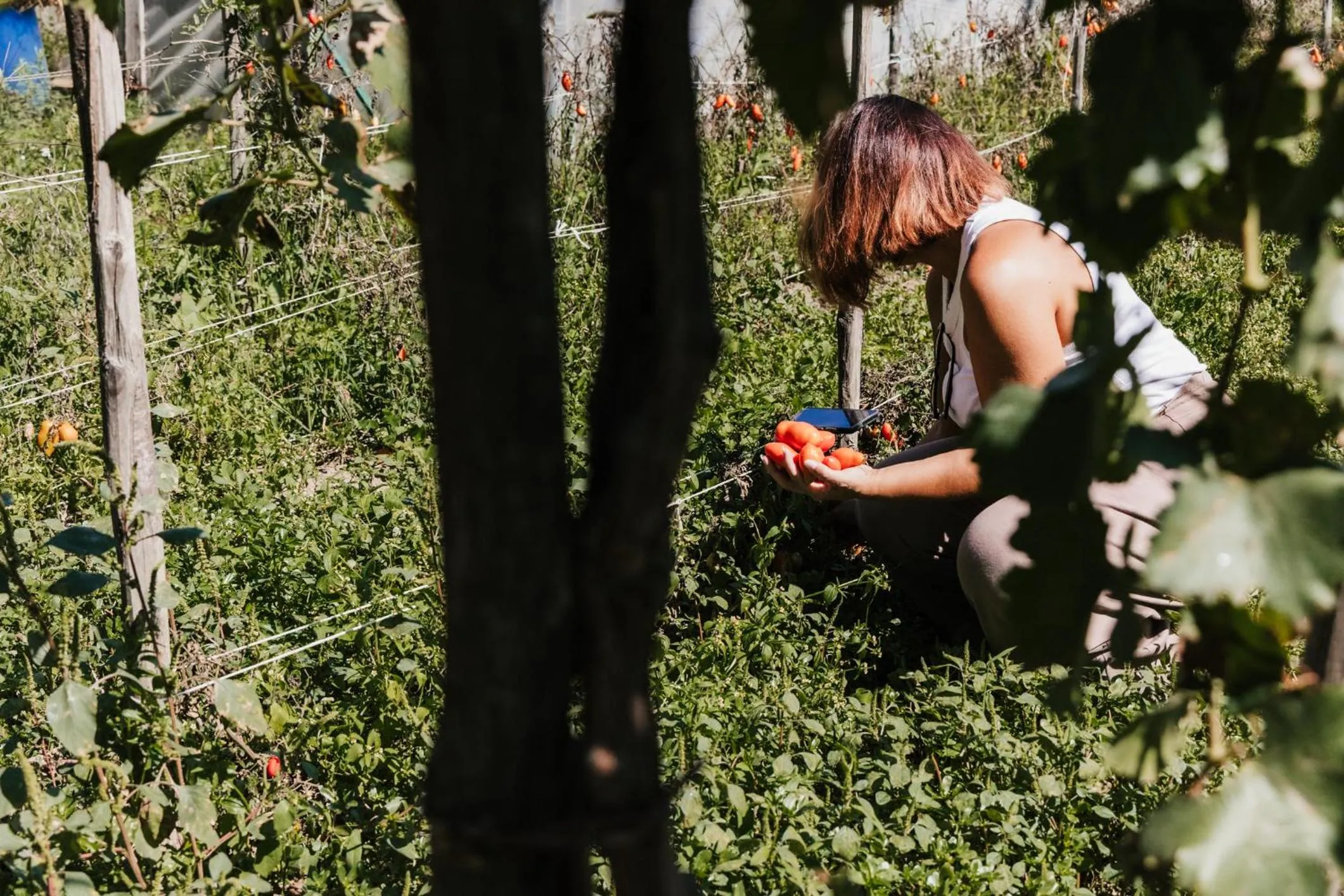 Natural landscape in Santa Maria Apartments