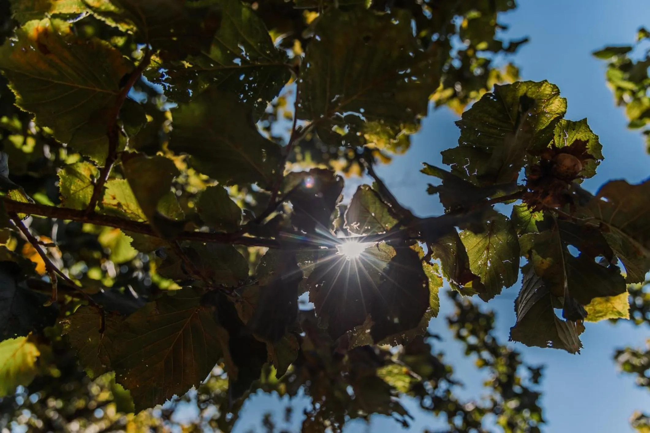 Spring in Santa Maria Apartments