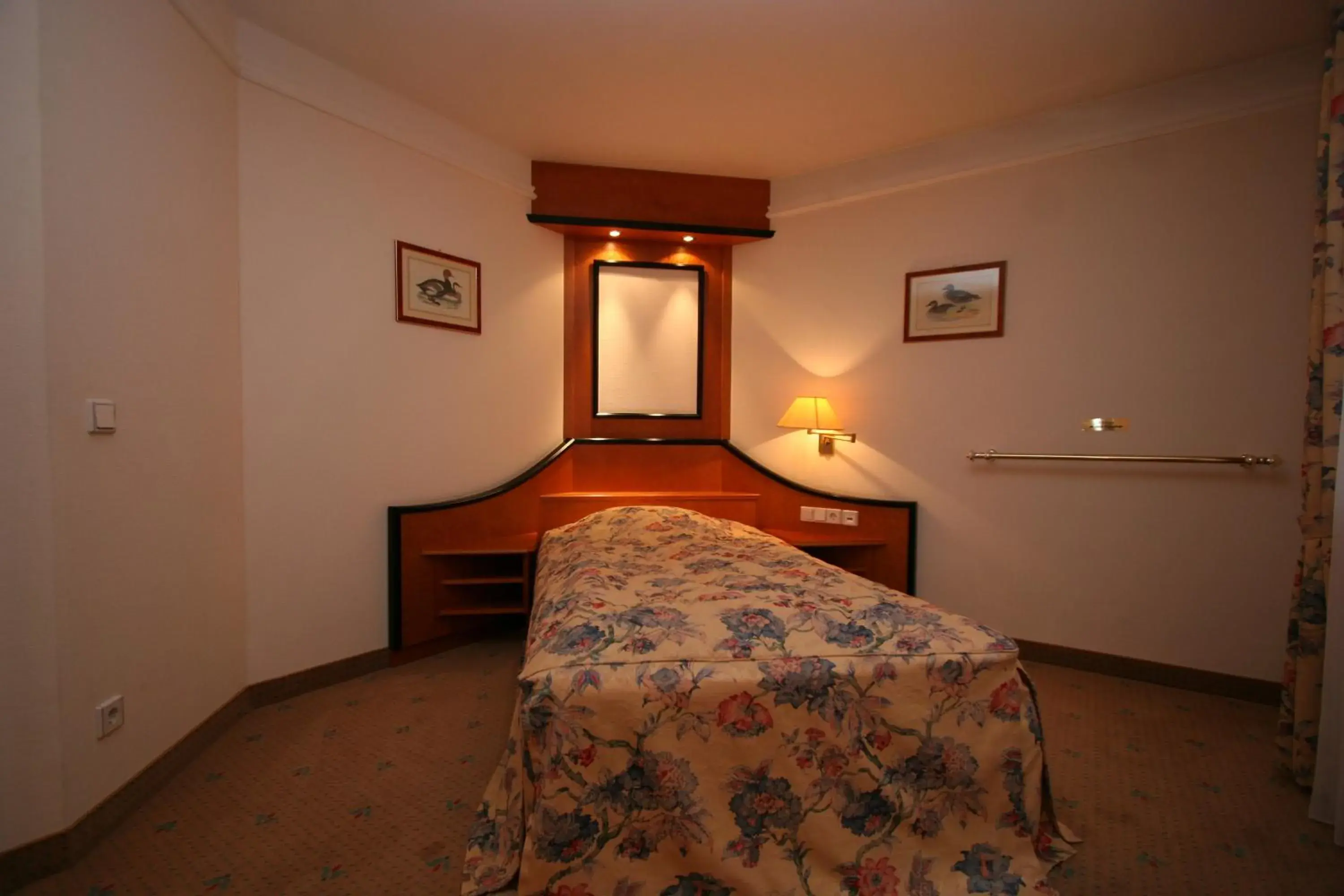 Single Room in Park Hotel am Schloss Single Room in Park Hotel am Schloss