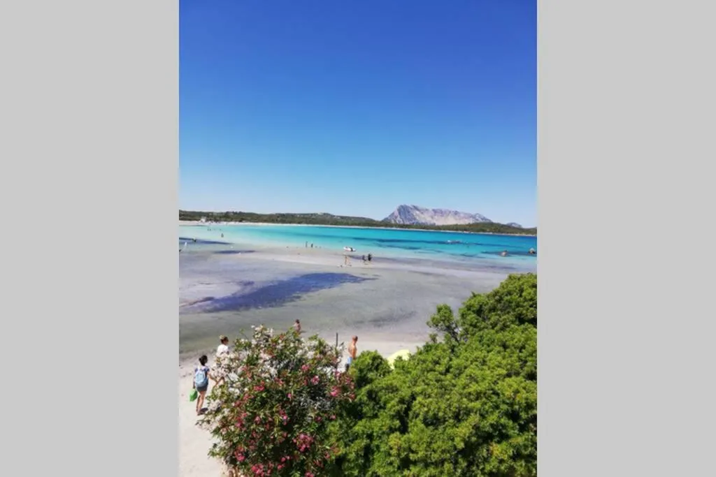 Trilocale vista mare con piscina a Badesi