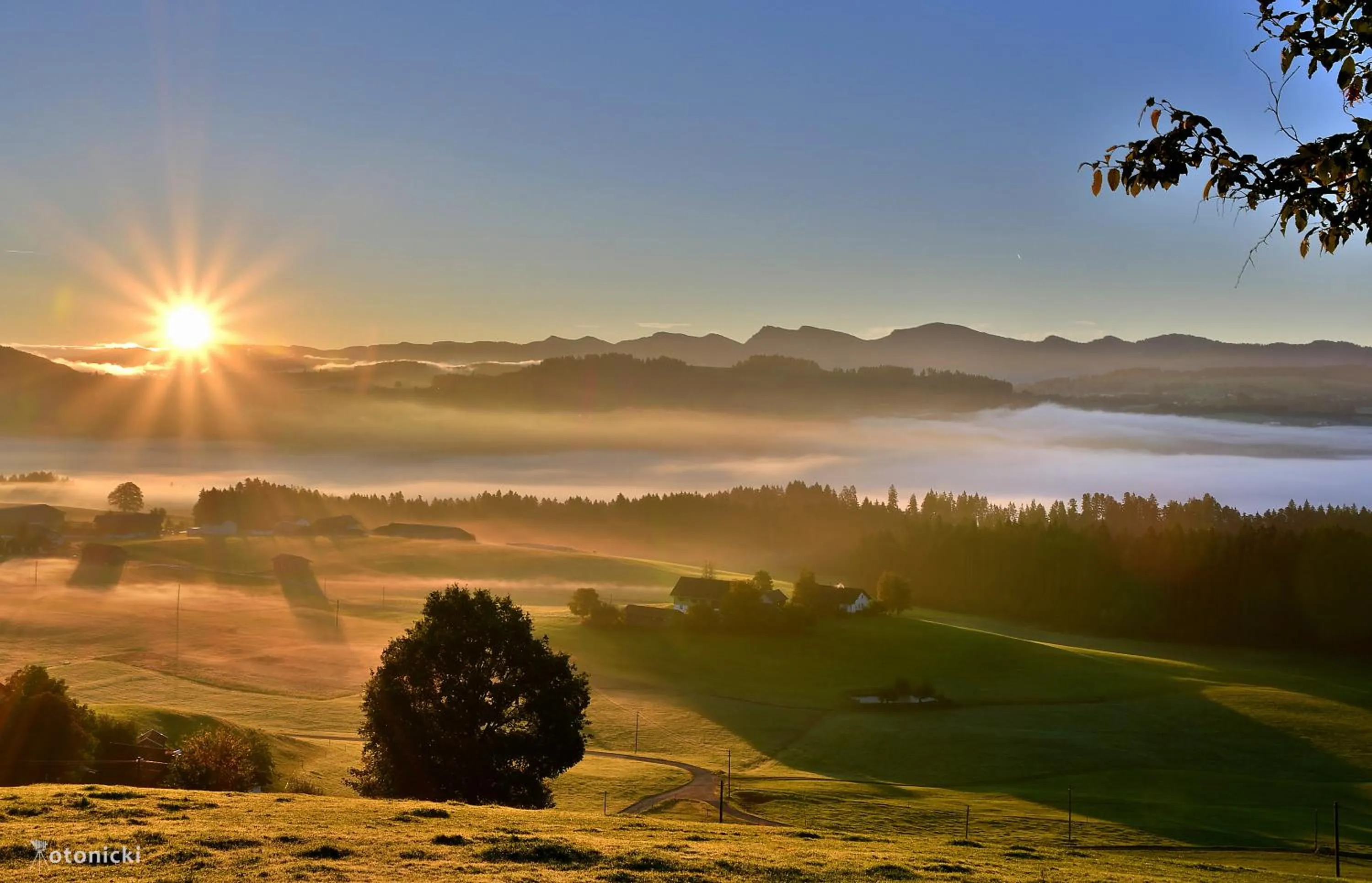 Staff in Lindenberger Hof