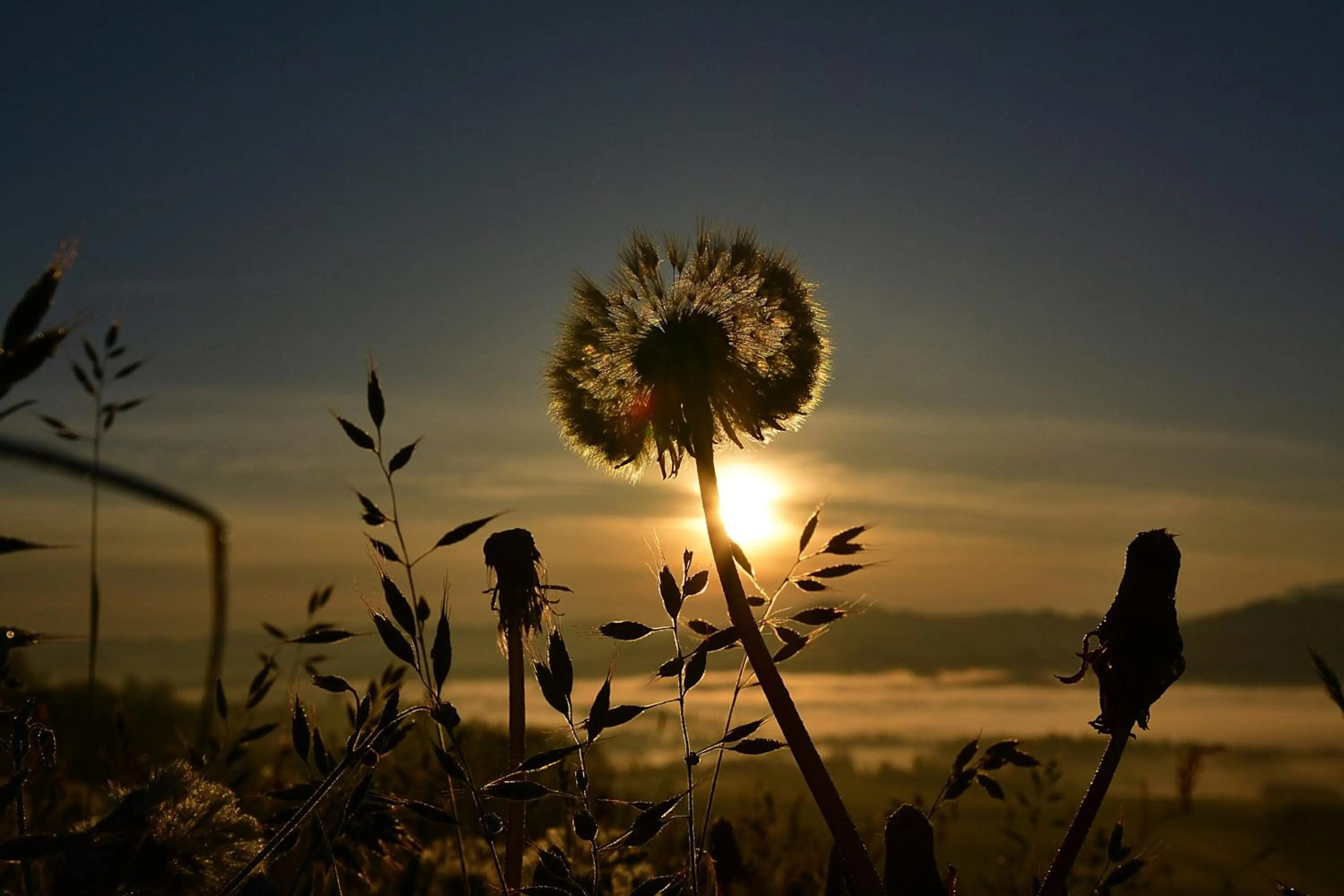 Staff in Lindenberger Hof
