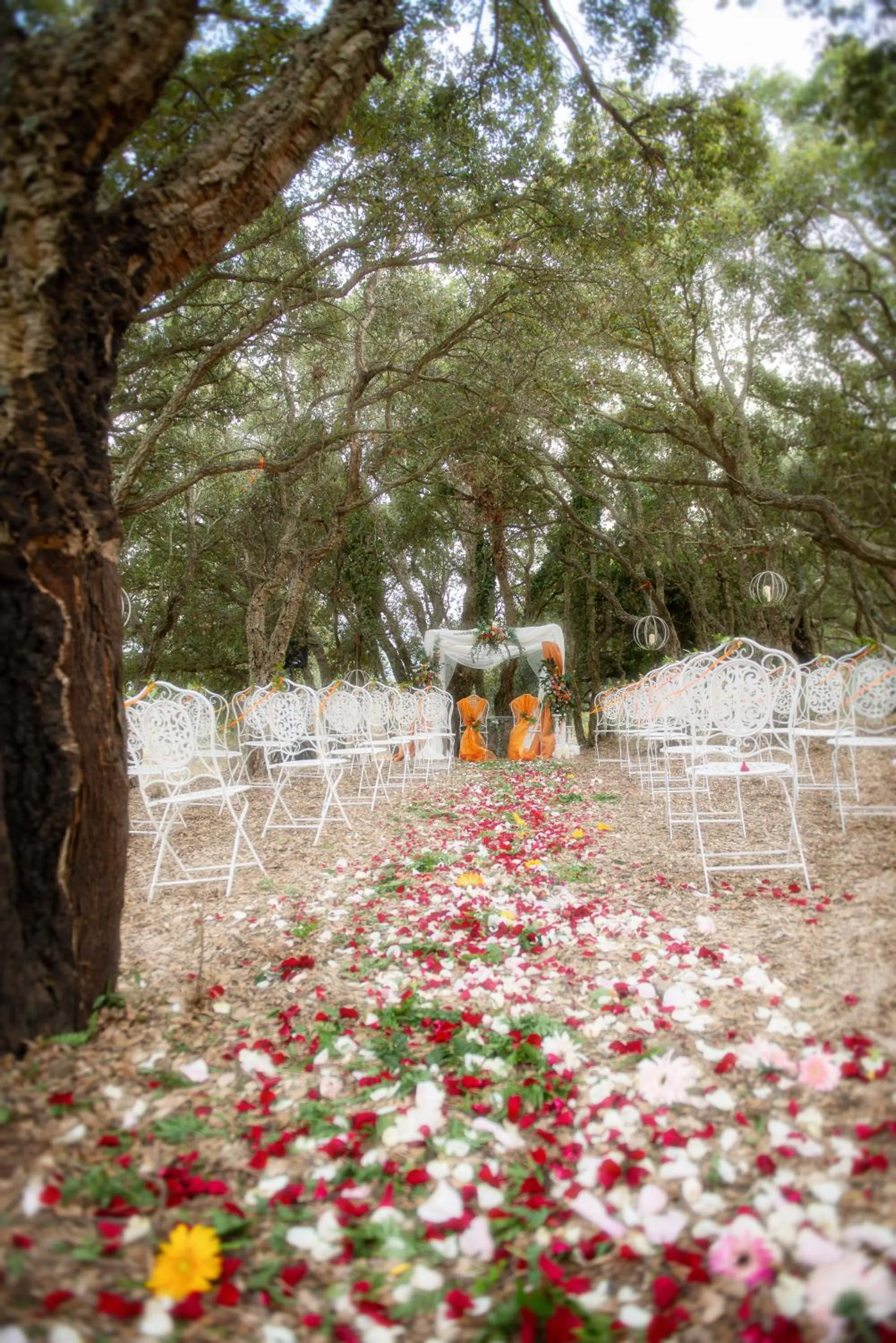 wedding in S'ena Hotel