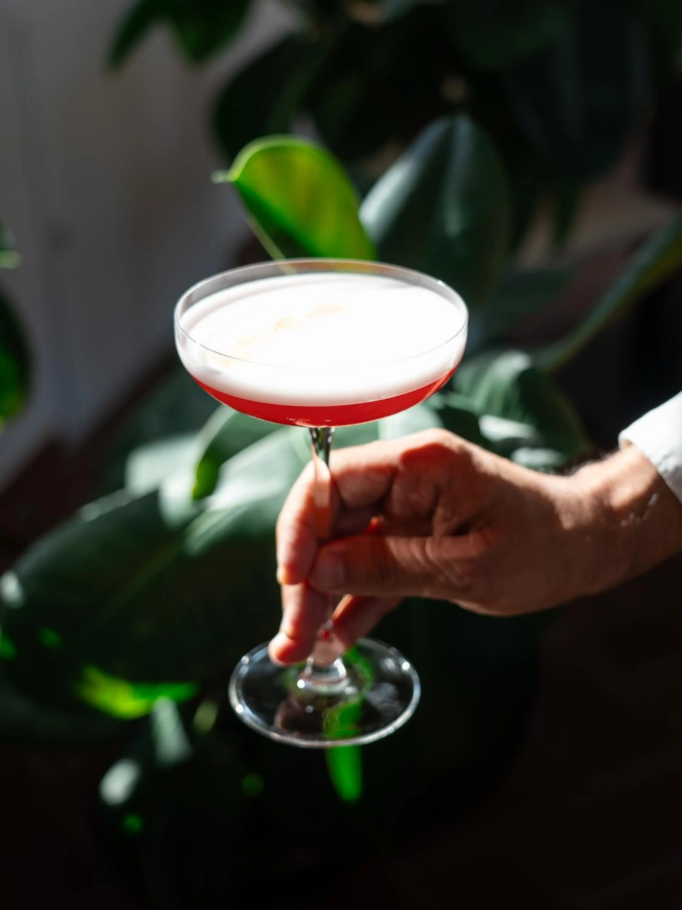 Drinks in Riva Toscana Golf Resort & SPA