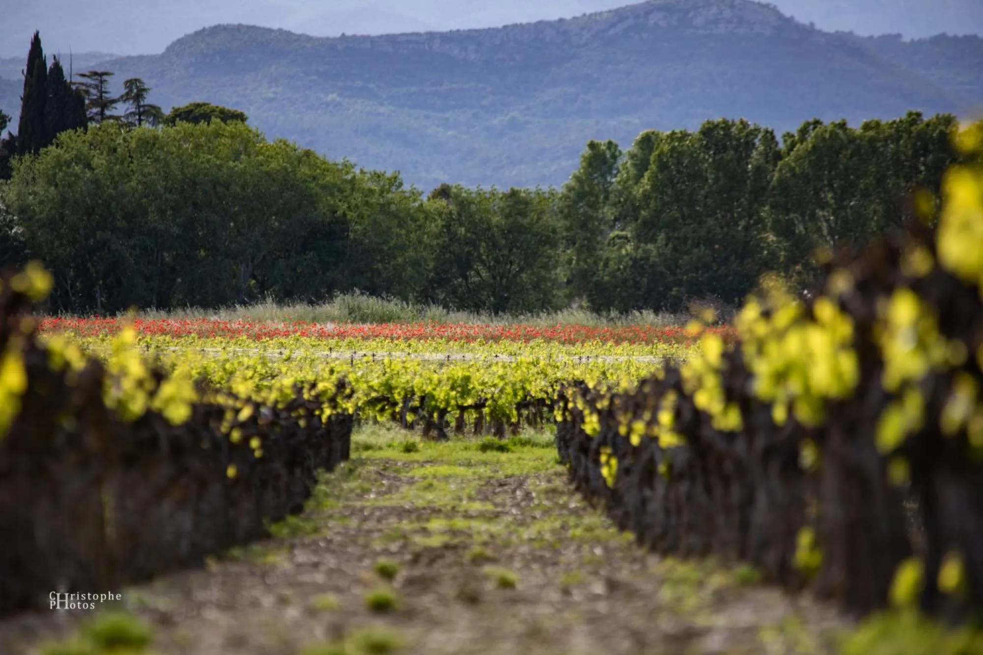 Mountain view in Croissant de Lune