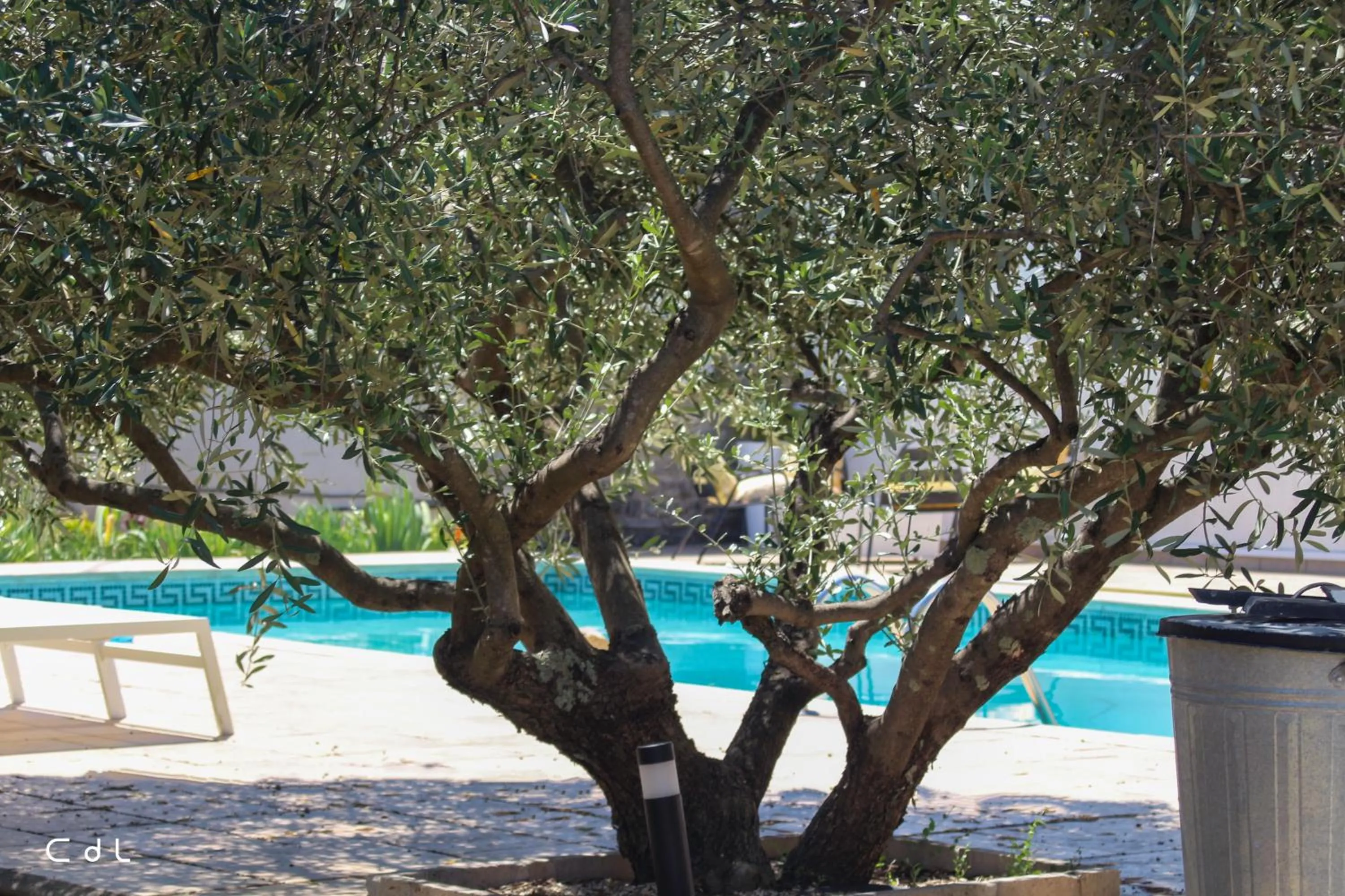 Garden in Croissant de Lune