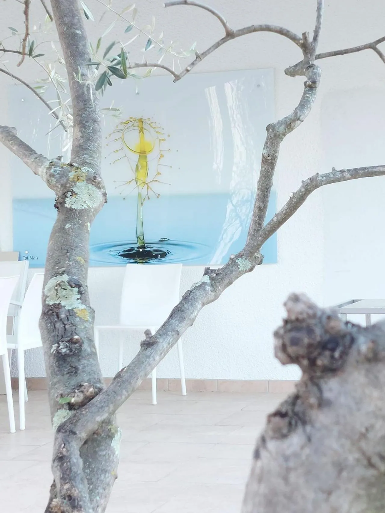 Decorative detail in Croissant de Lune