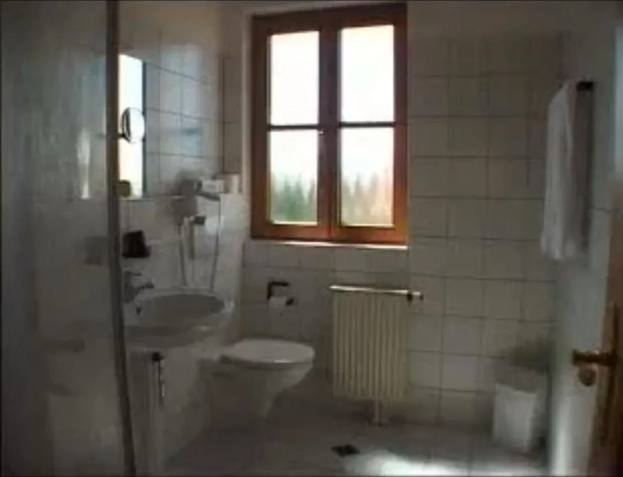 Toilet in Hotel & Gasthof zum Rödelseer Schwan