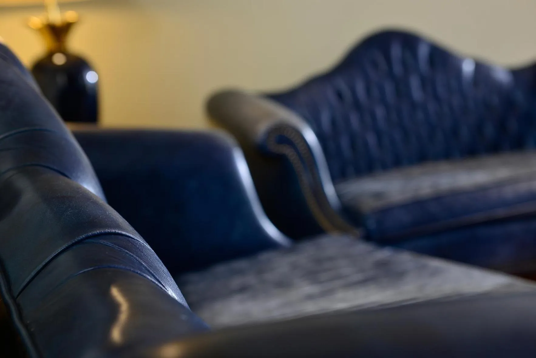 Lobby or reception in Hotel Der Lindenhof