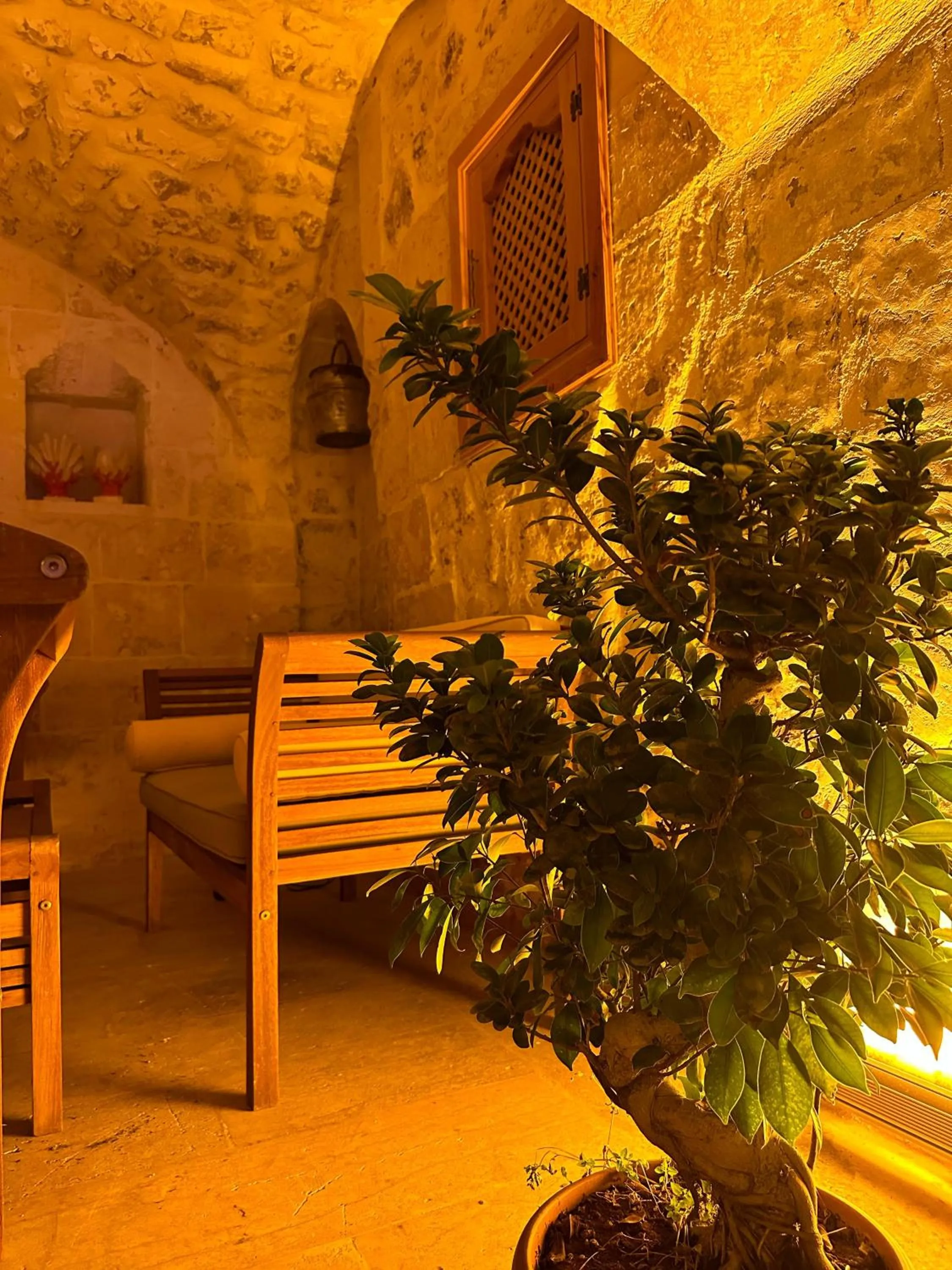 Garden in Tessera Hotel