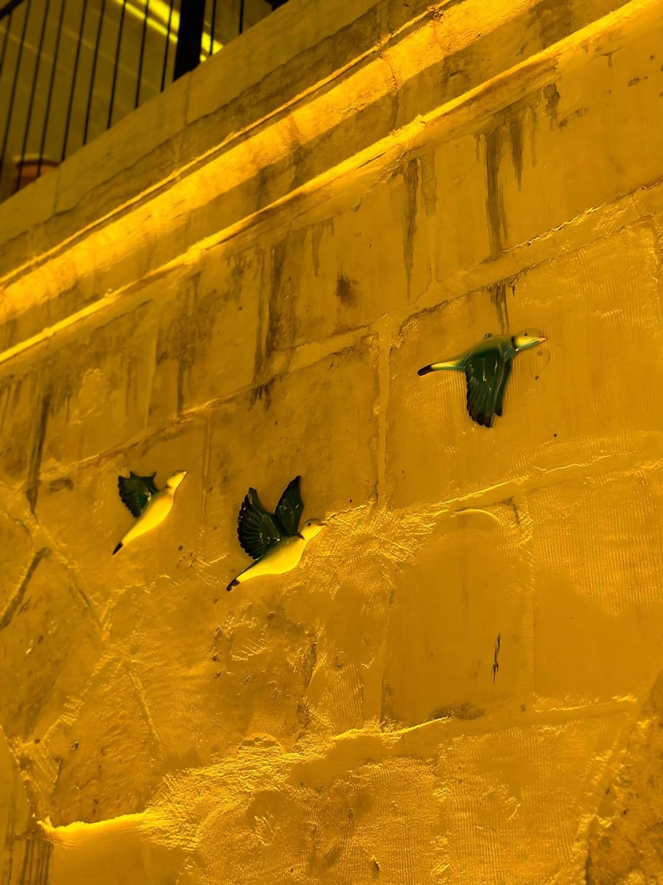 Garden in Tessera Hotel