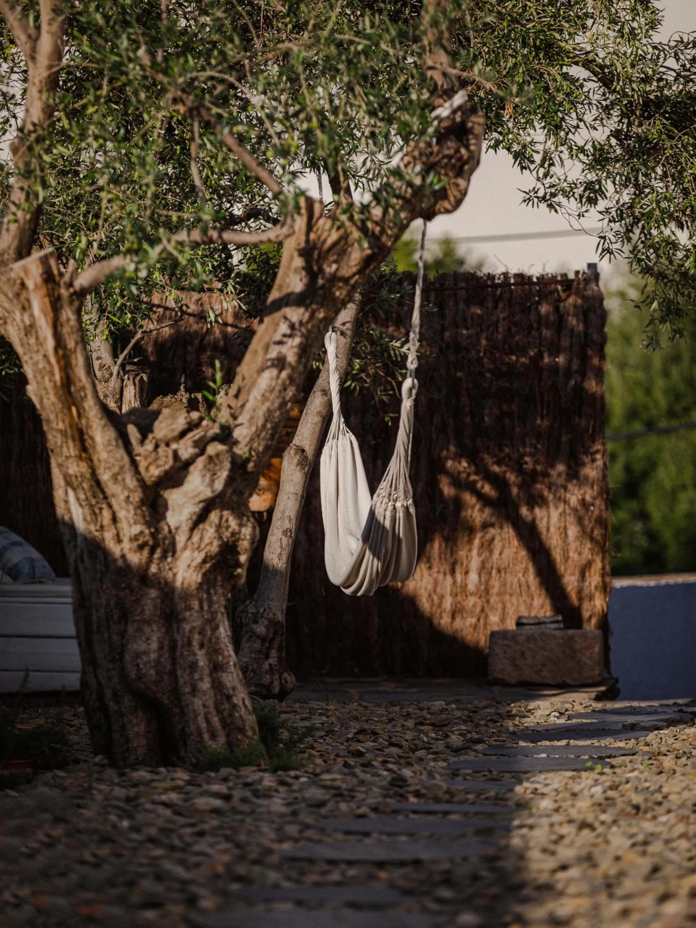 Garden in Hotel Casa Nereta