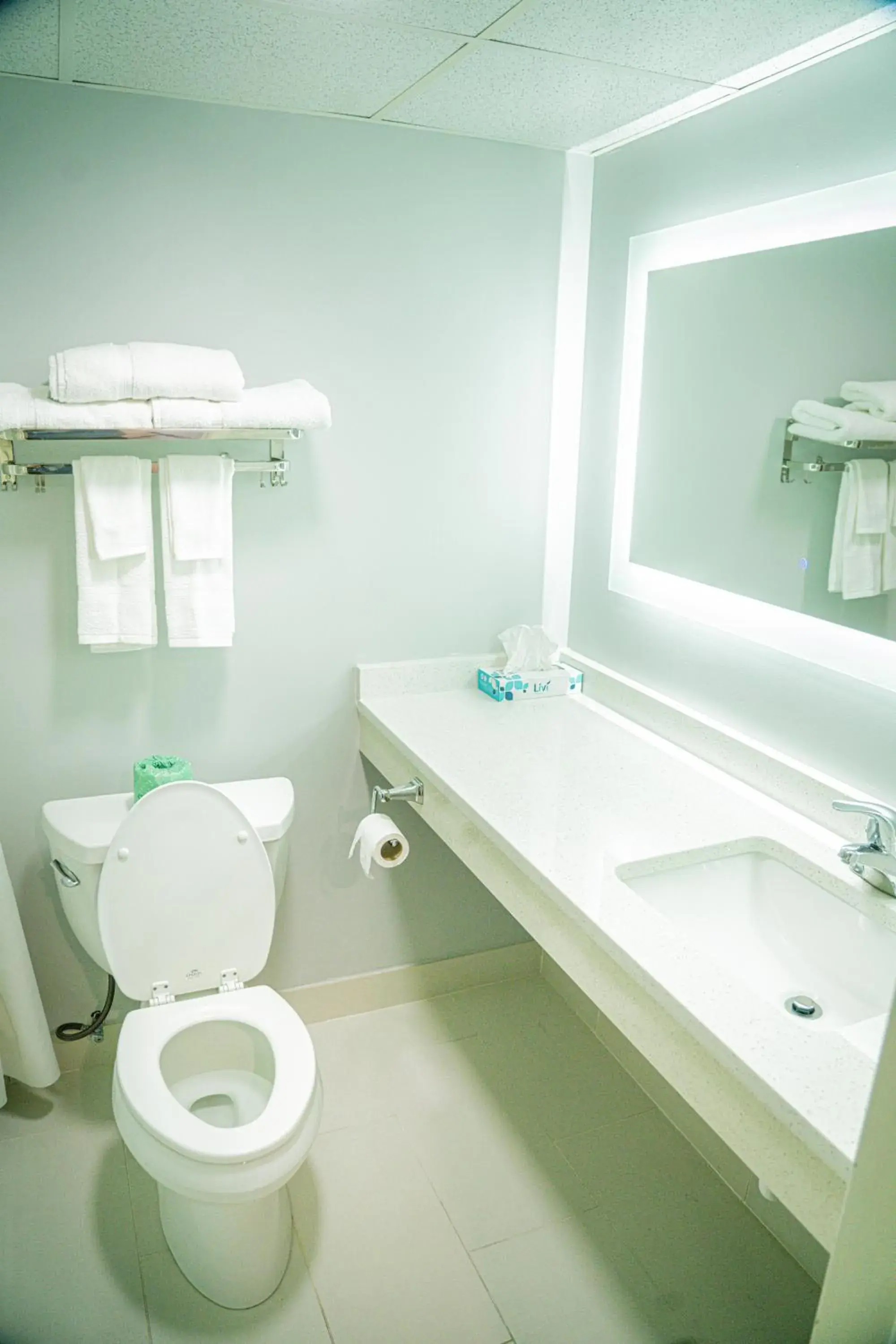 Double Room in Royal Inn & Suites Double Room in Royal Inn & Suites