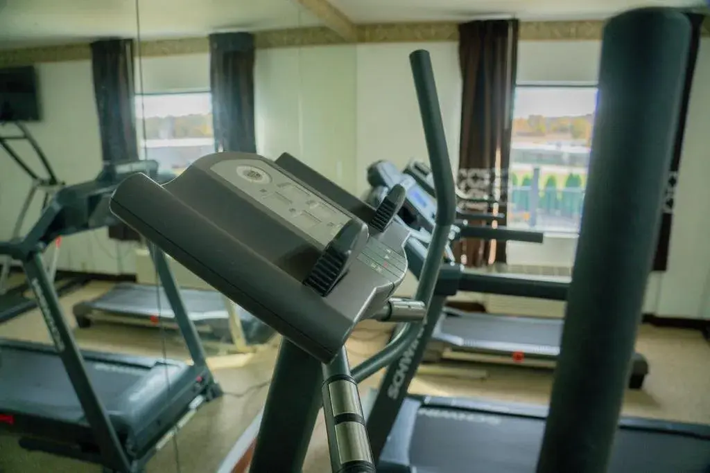 Fitness centre/facilities in Royal Inn & Suites Fitness centre/facilities in Royal Inn & Suites