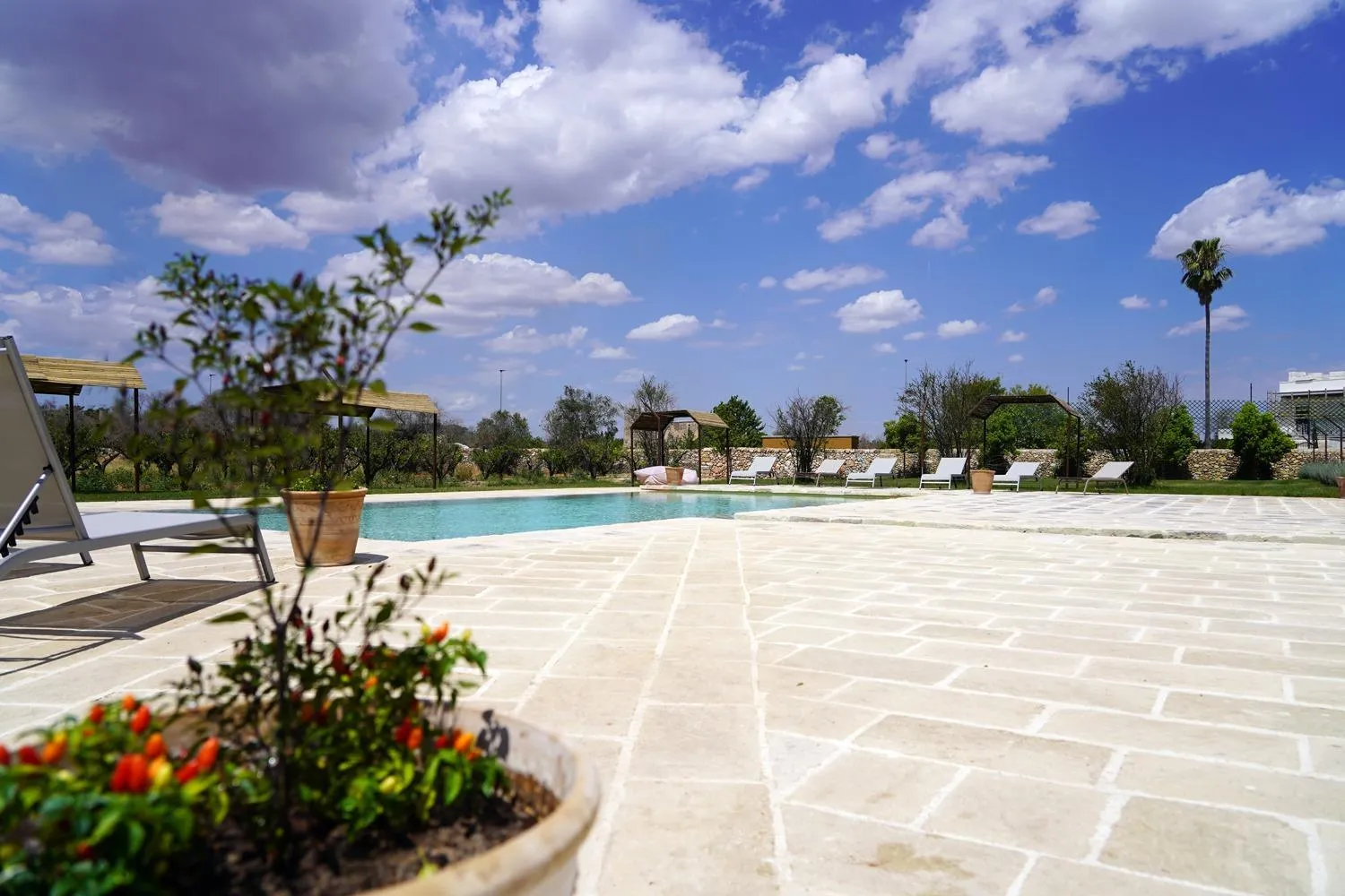 Swimming pool in Masseria Rifisa AgriResort