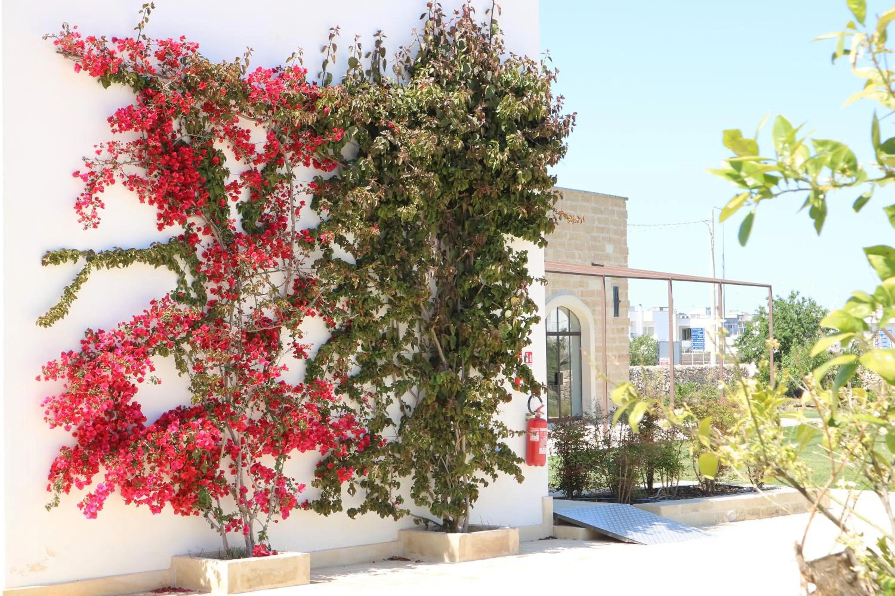 Garden in Masseria Rifisa AgriResort