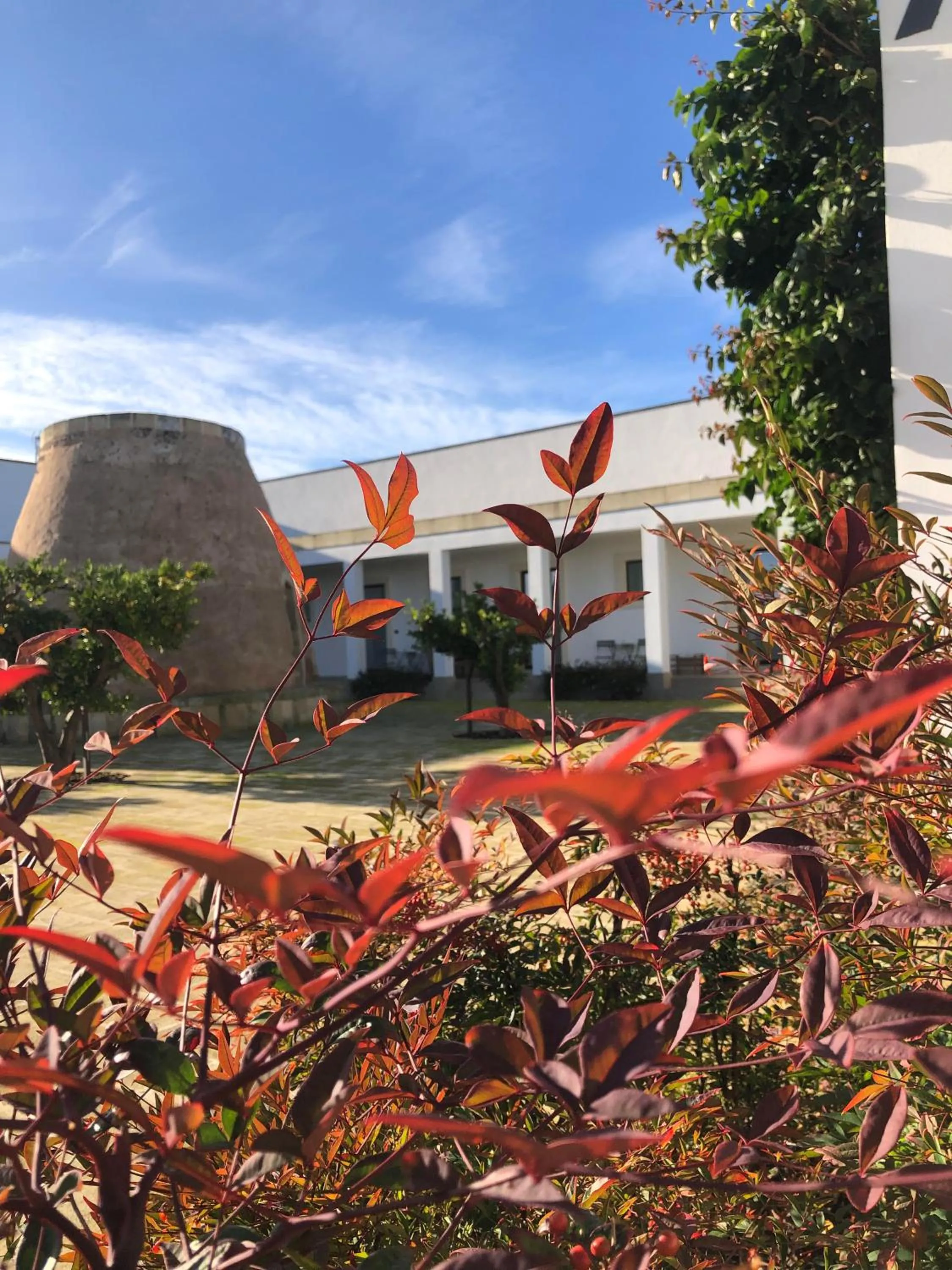 Property building in Masseria Rifisa AgriResort