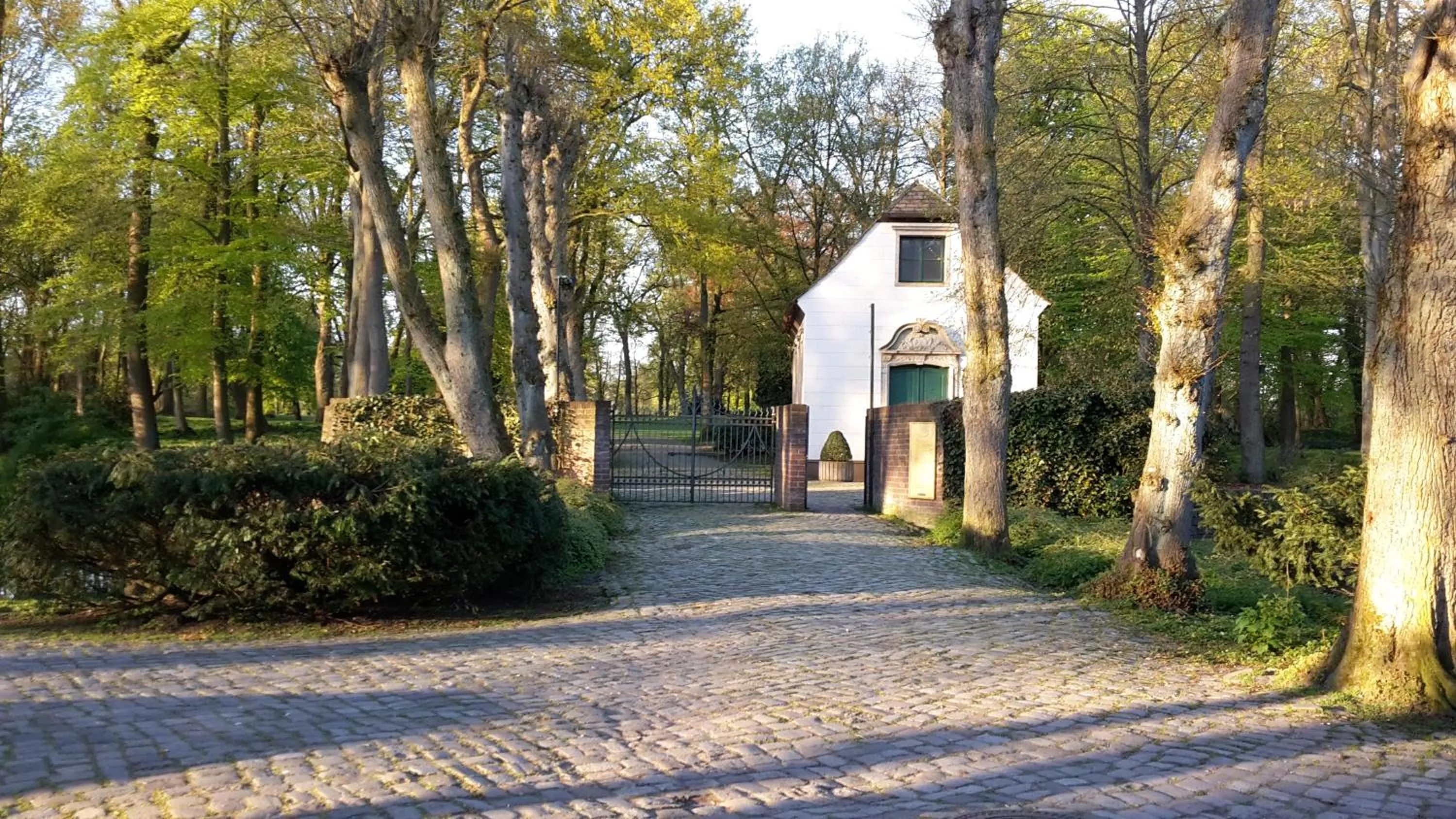 Natural landscape in City Hotel