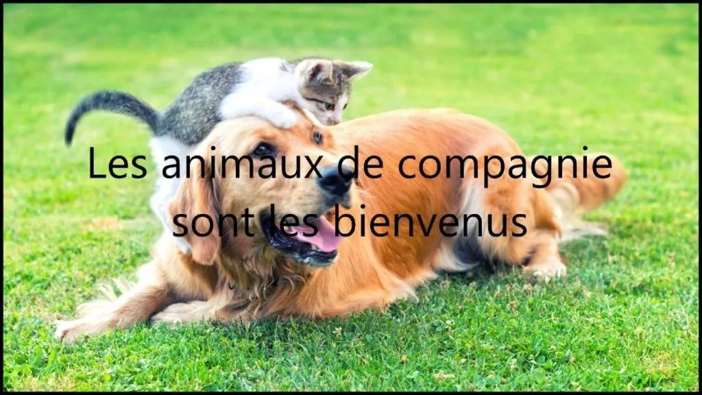 Animals in Brit Hotel Essentiel Deltour Mende