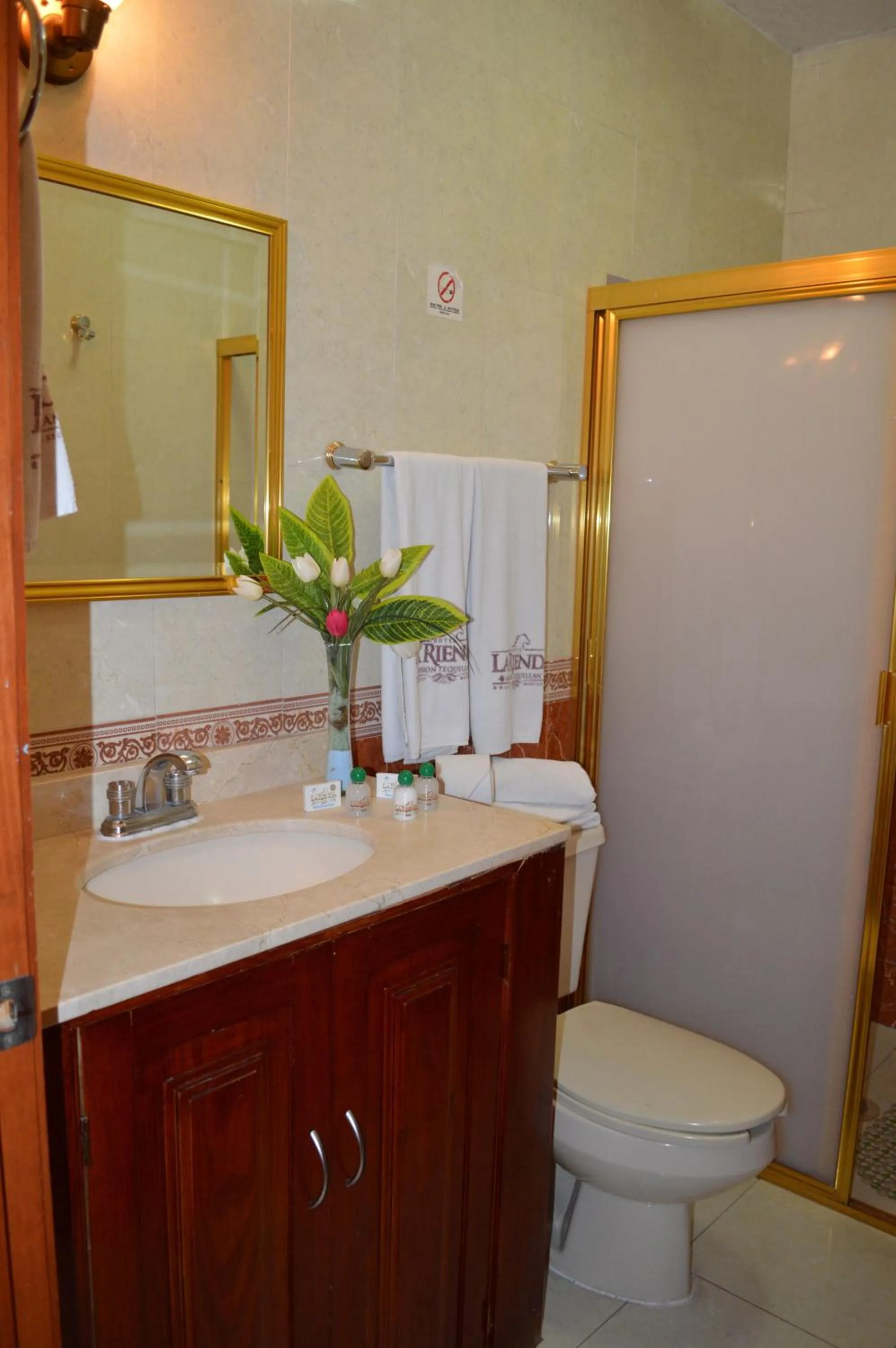 Bathroom in Hotel La Rienda Mision Tequillan