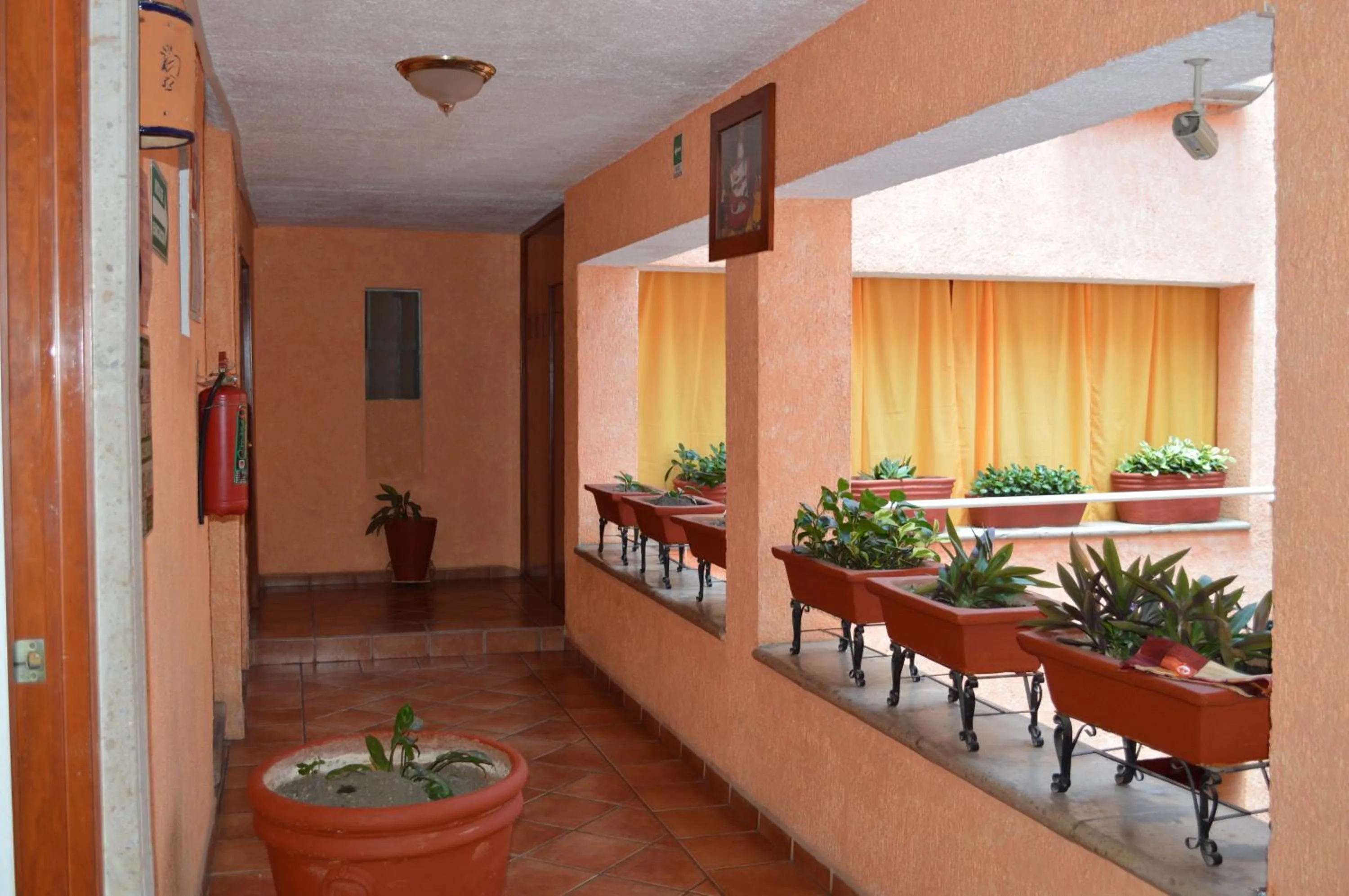 Decorative detail in Hotel La Rienda Mision Tequillan