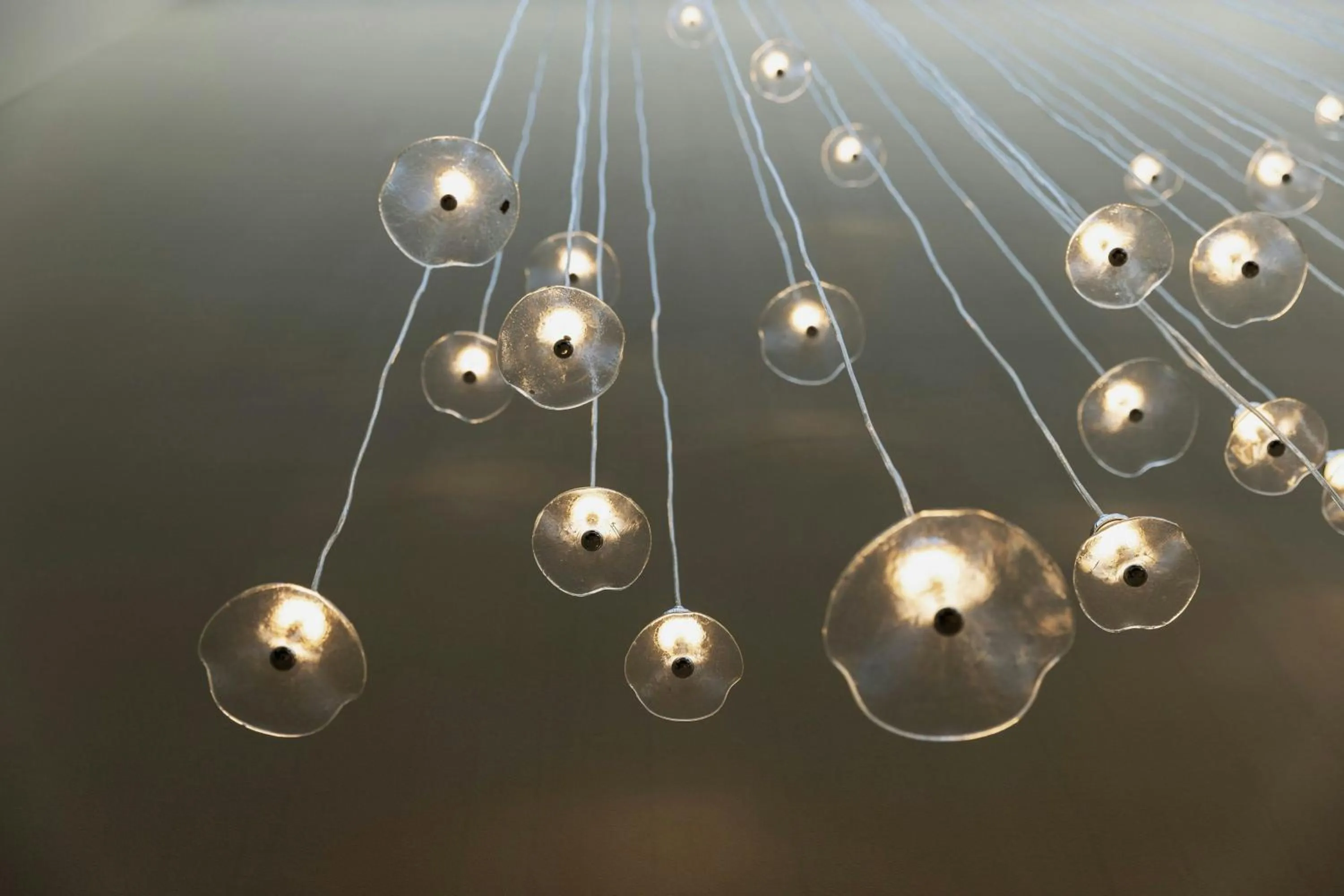 Other in Imperial Riding School, Autograph Collection