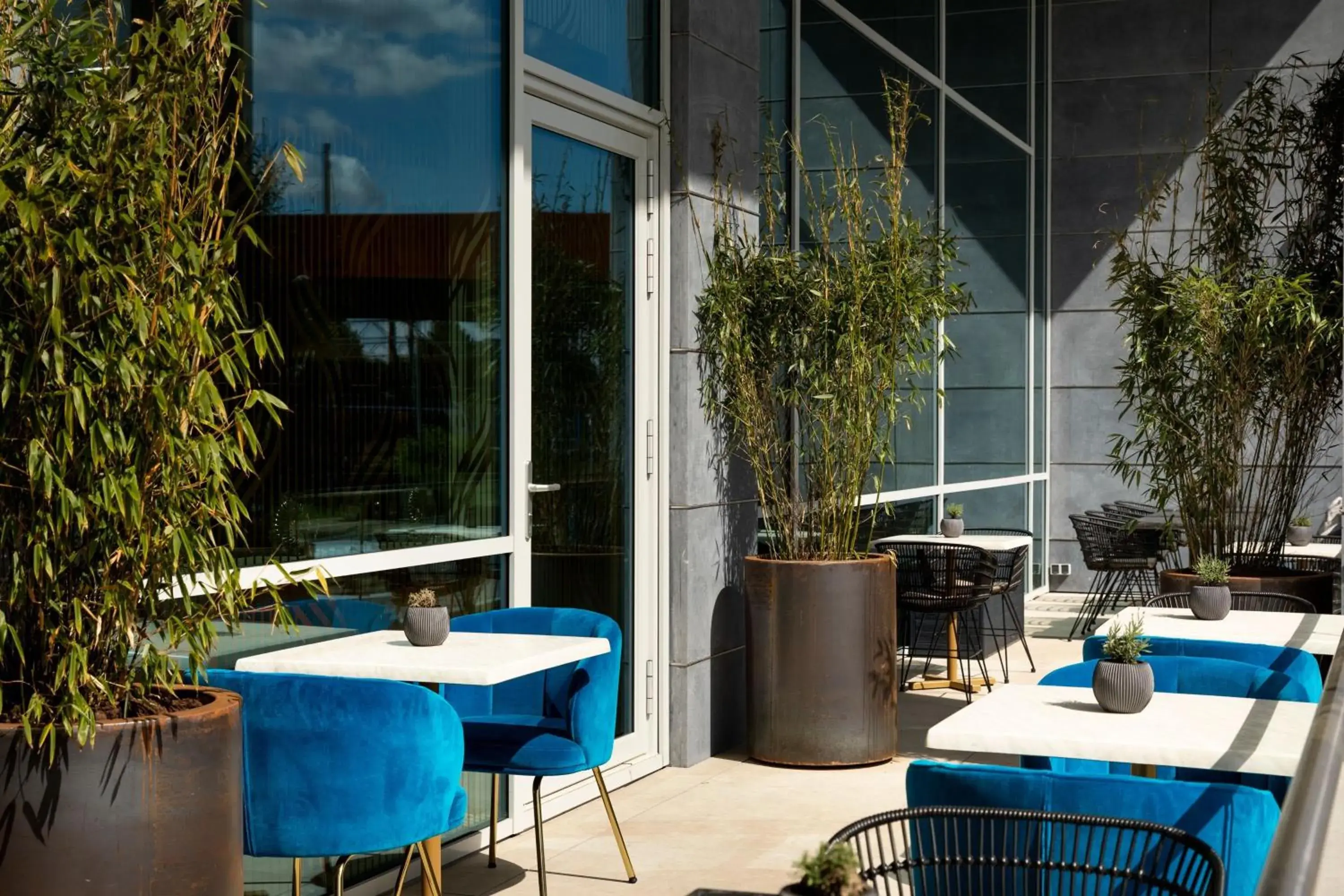 Lounge or bar in The Den, 's-Hertogenbosch, a Tribute Portfolio Hotel Lounge or bar in The Den, 's-Hertogenbosch, a Tribute Portfolio Hotel