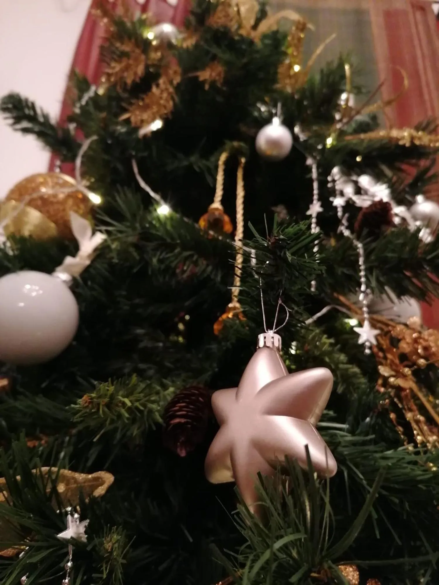 B&B Il Giardino di Paola