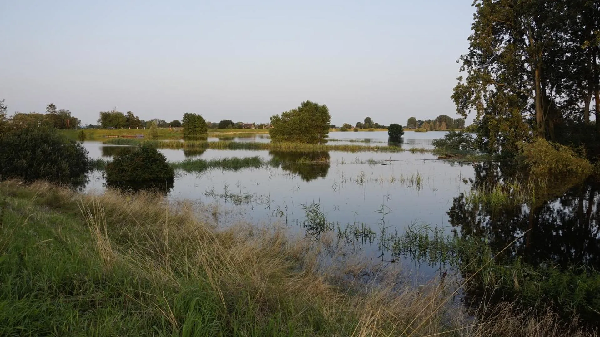 View (from property/room) in Thuis bij Elles