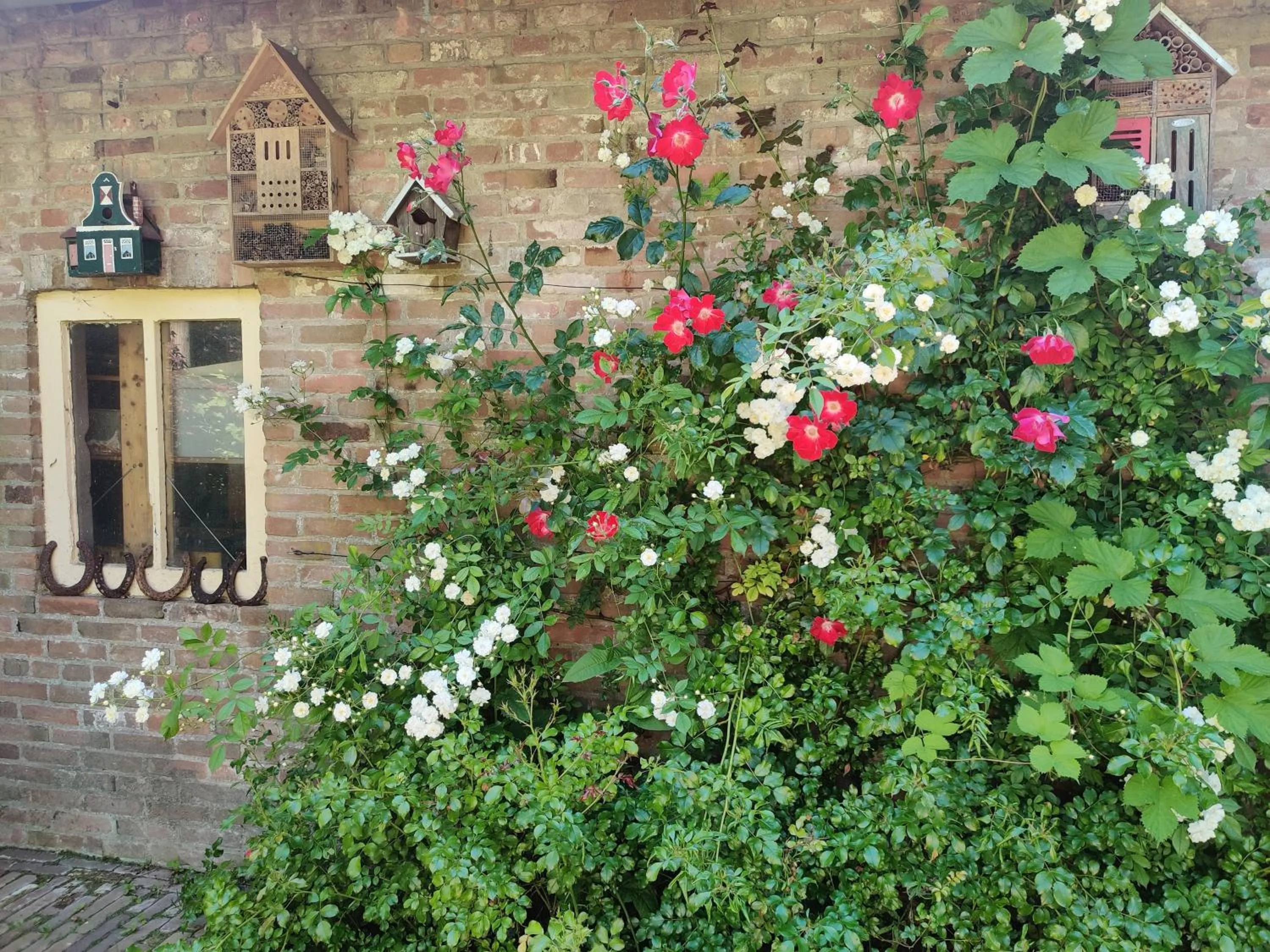 Garden in Thuis bij Elles