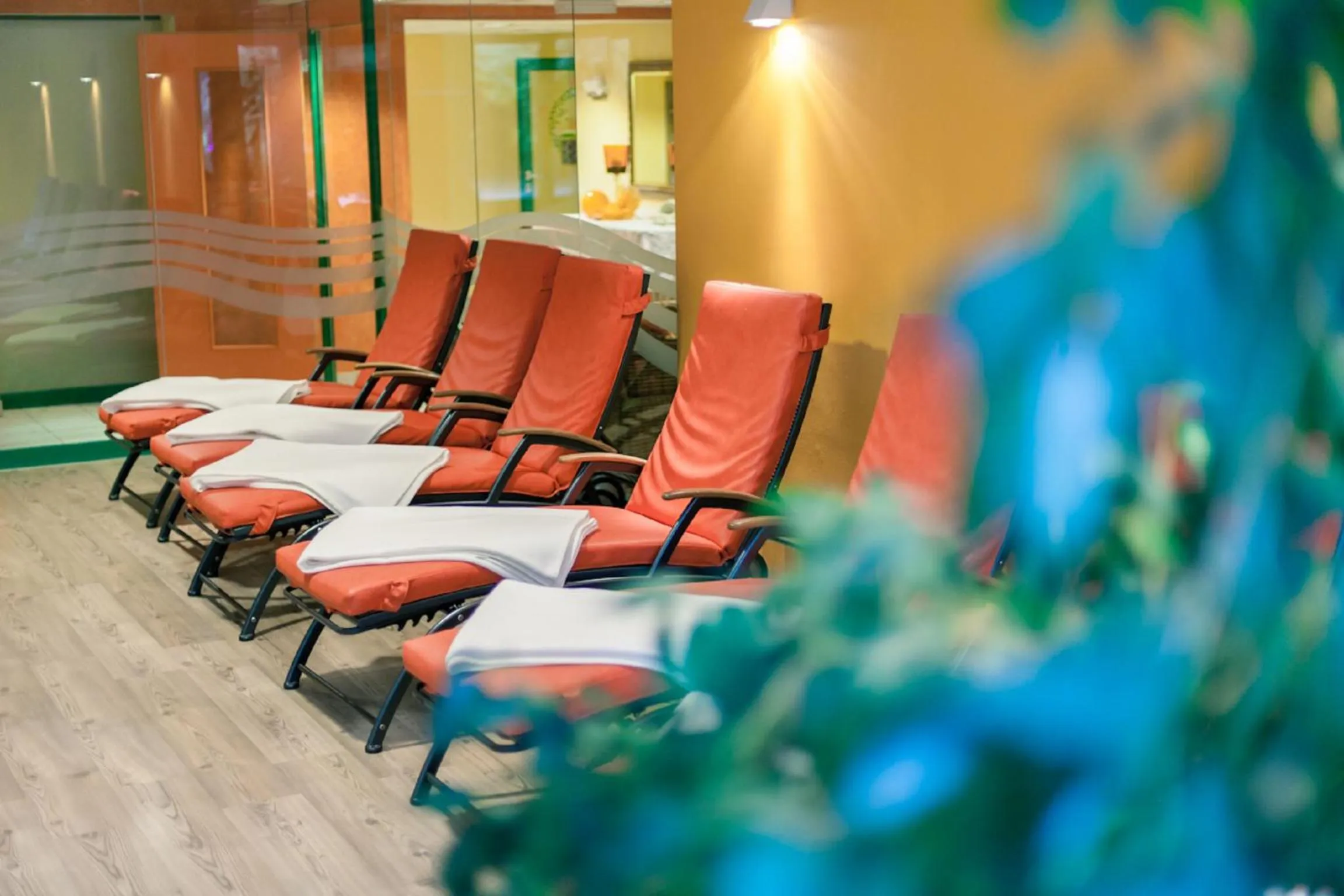 Spa and wellness centre/facilities in Kolmhof