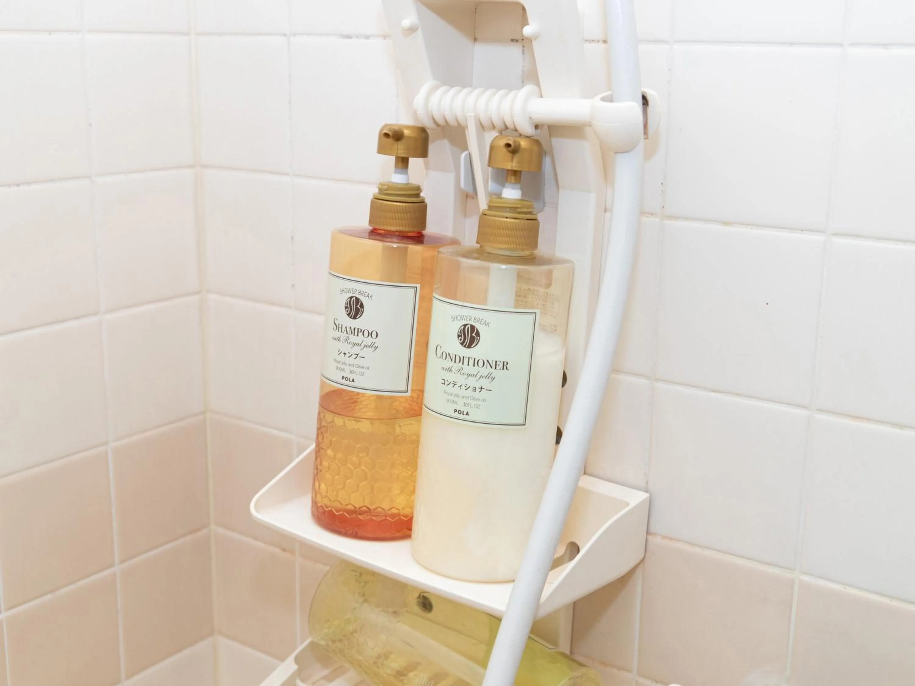 Bathroom in Reality Hakata 2