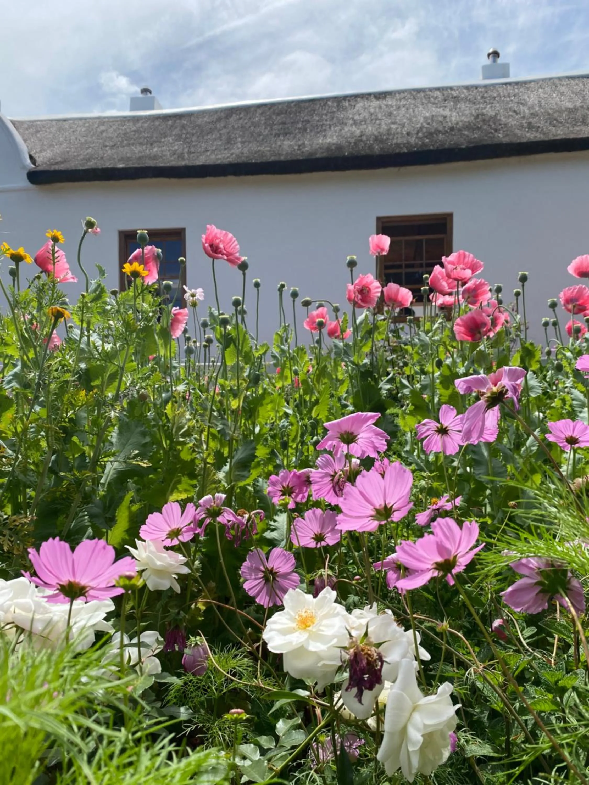 Zeekoegat Historical Homestead