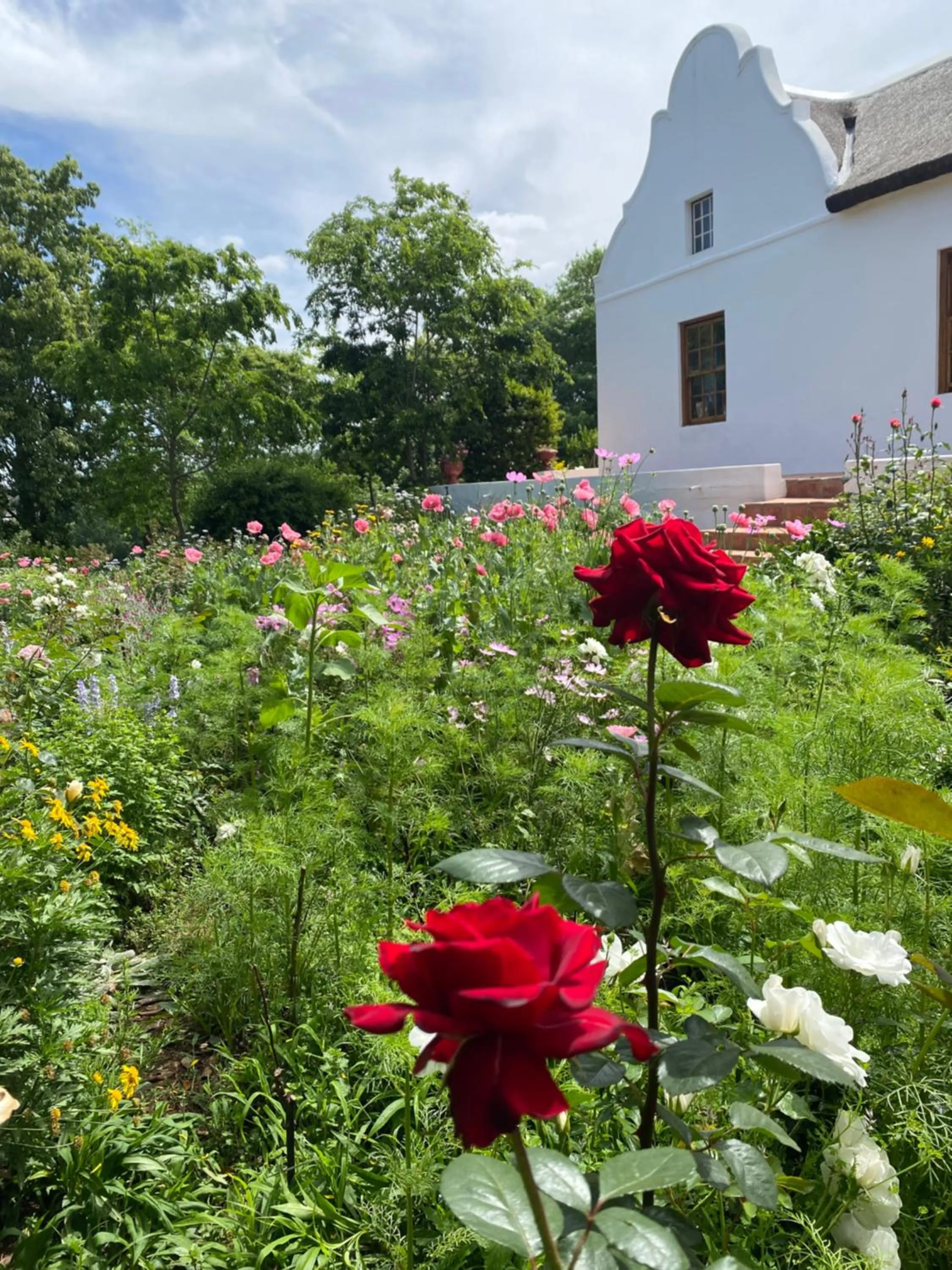 Zeekoegat Historical Homestead