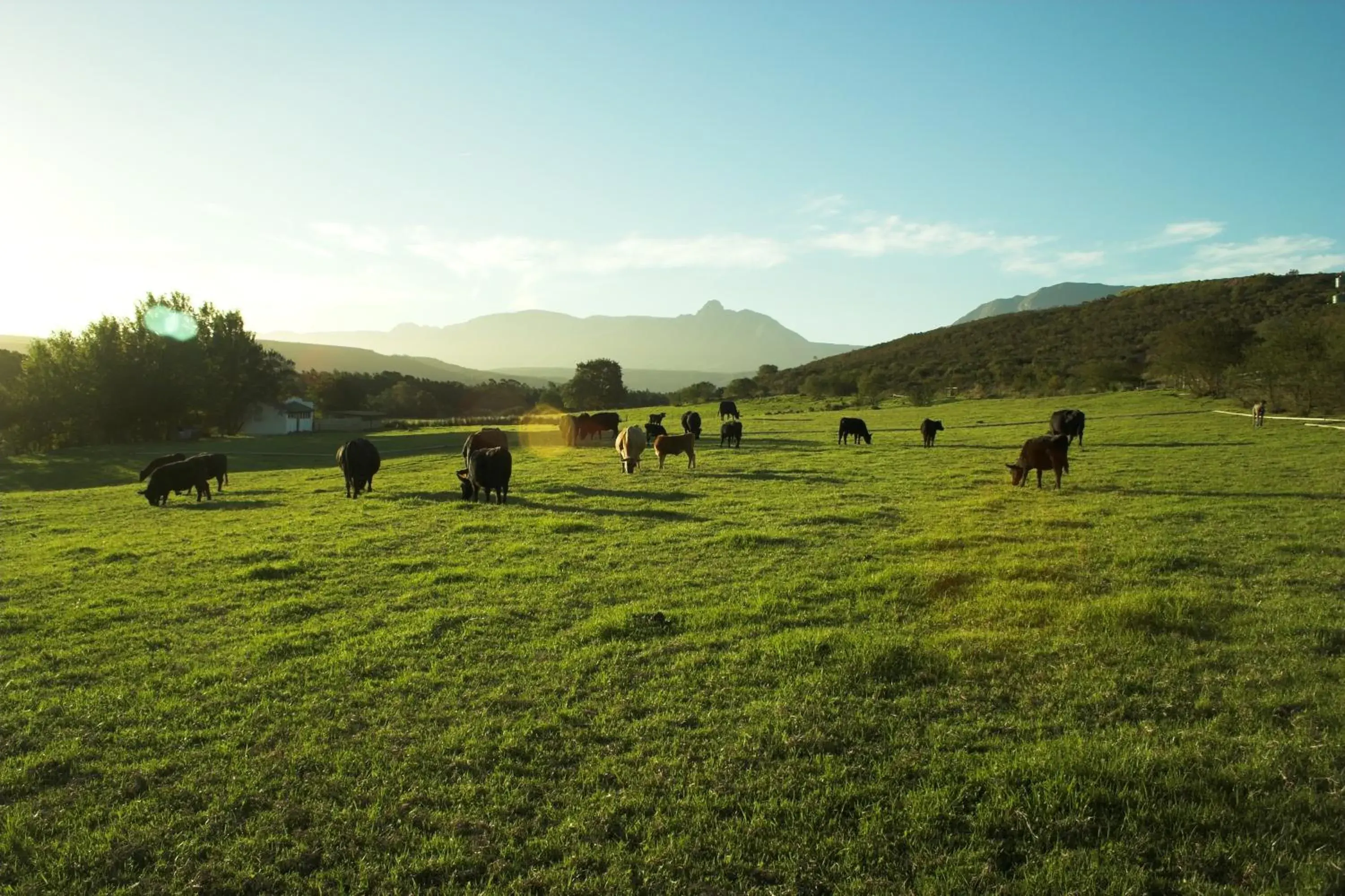 Mountain view in Zeekoegat Historical Homestead Mountain view in Zeekoegat Historical Homestead