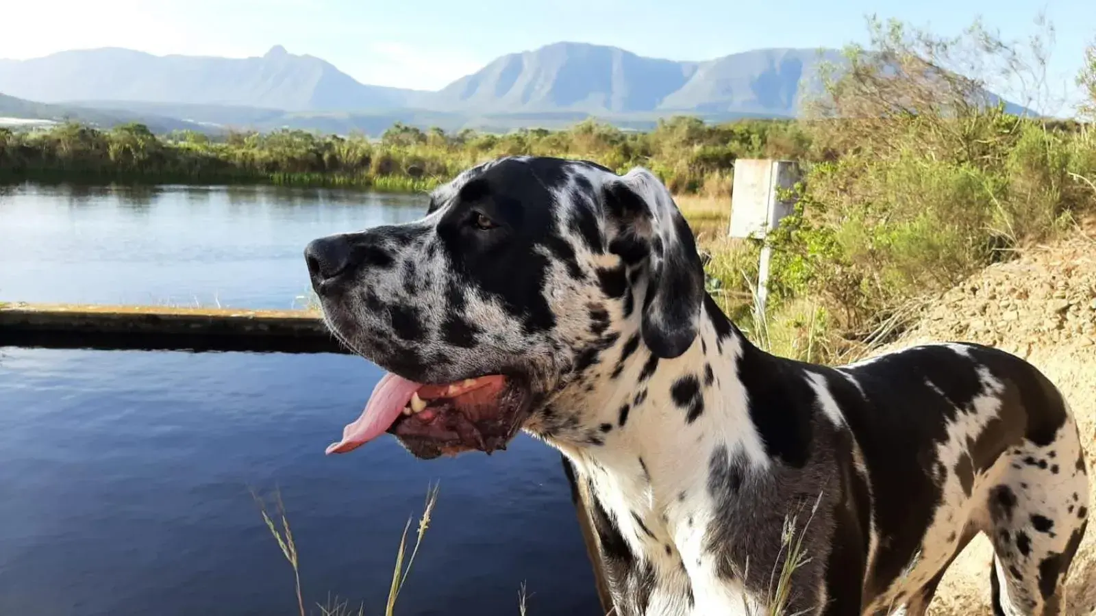 Zeekoegat Historical Homestead Zeekoegat Historical Homestead