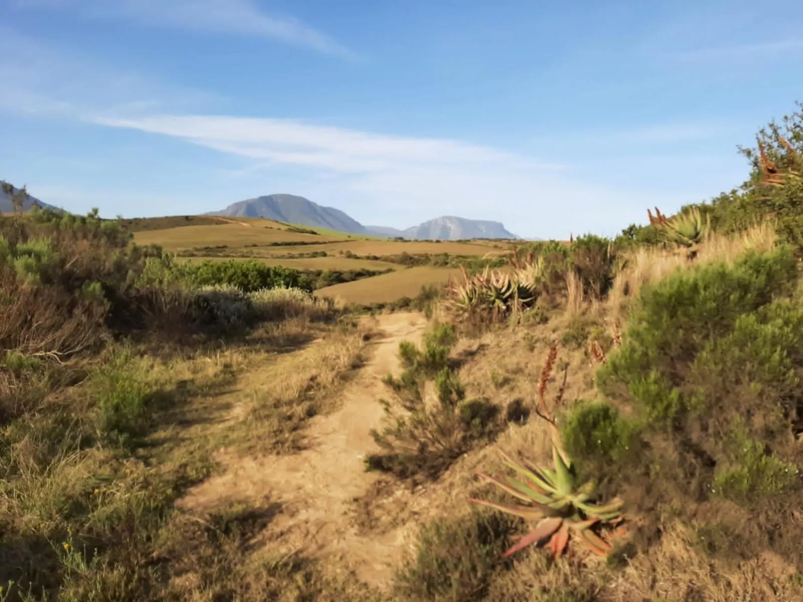 Zeekoegat Historical Homestead