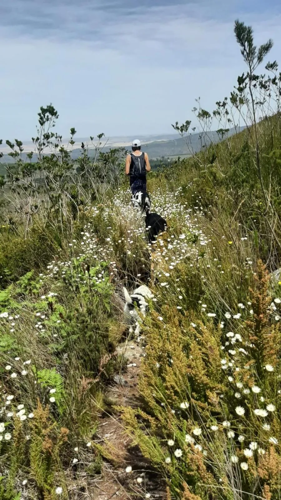 Zeekoegat Historical Homestead
