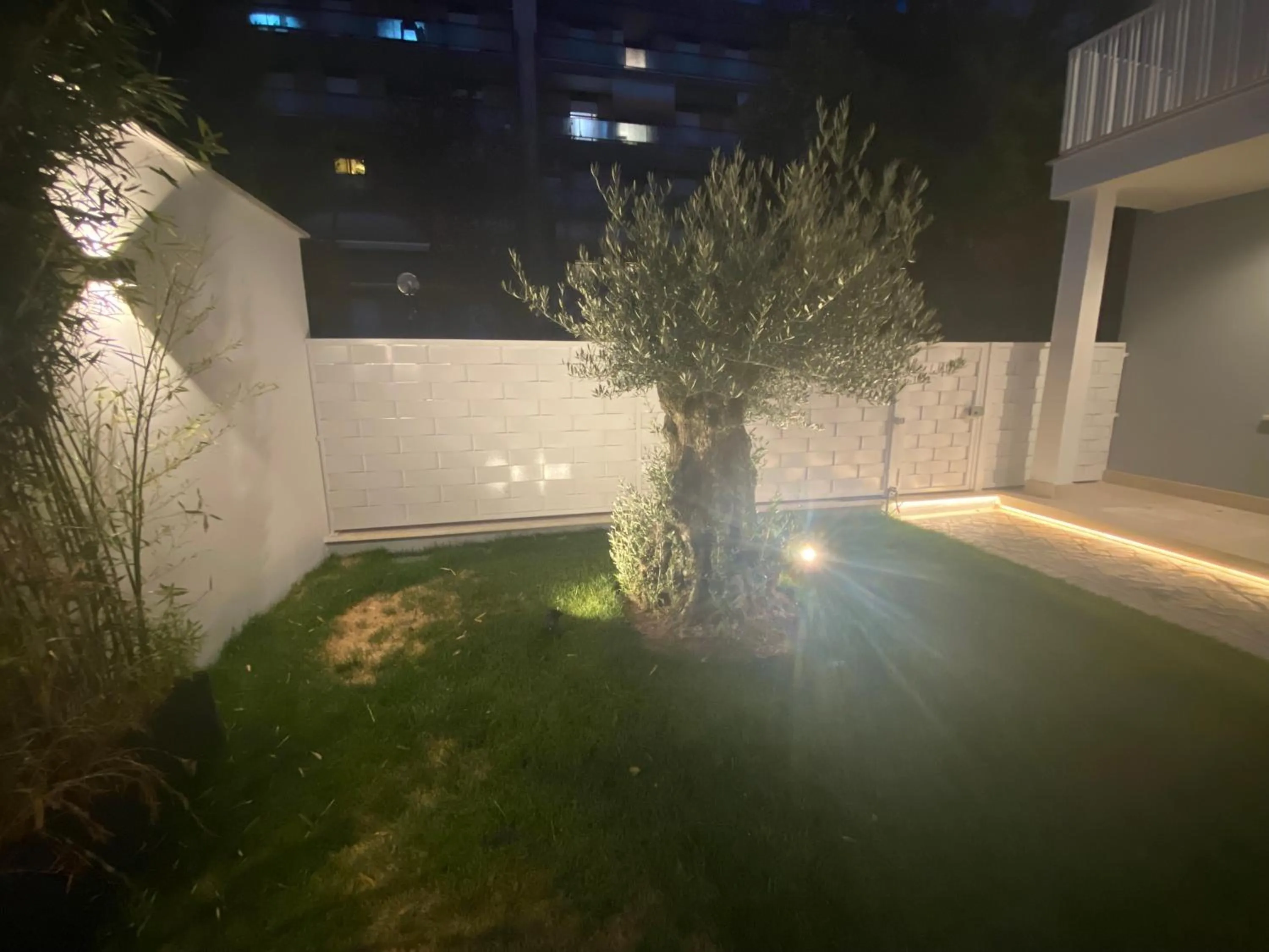 Garden in Grey House Guest House Luxury