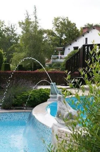 Swimming pool in Hôtellerie Du Bas-Bréau