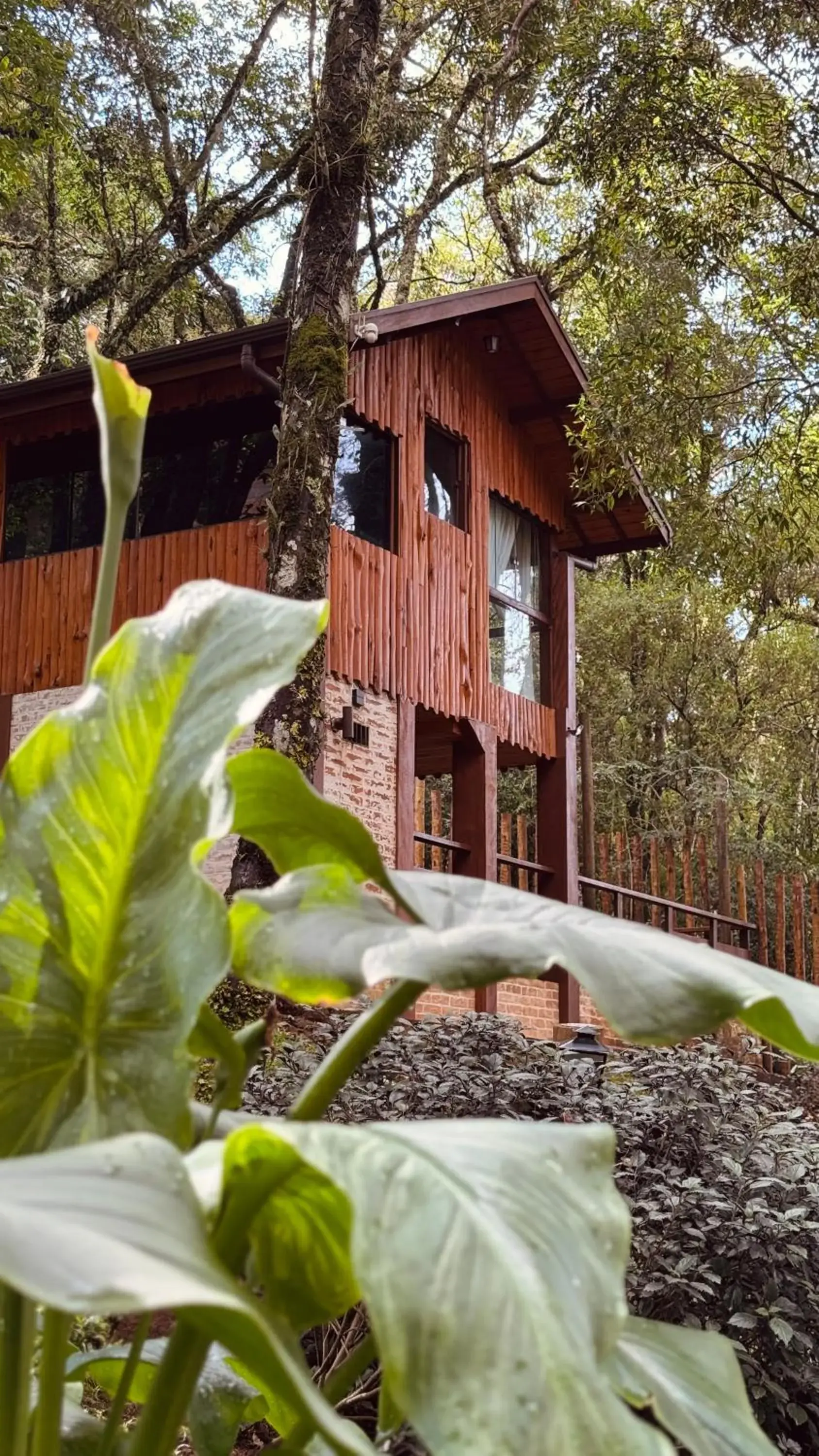 Superior Hut in Estalagem Serra de Minas em Monte Verde Superior Hut in Estalagem Serra de Minas em Monte Verde