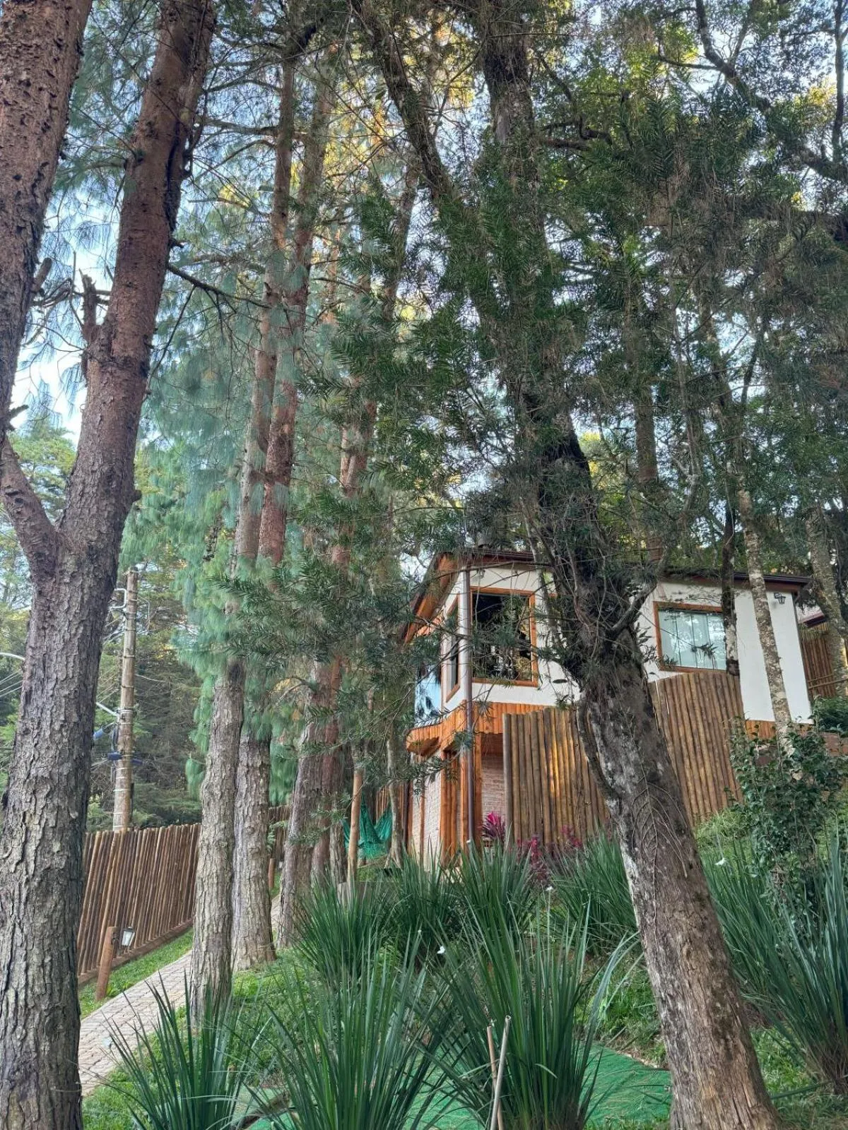 Garden in Estalagem Serra de Minas em Monte Verde