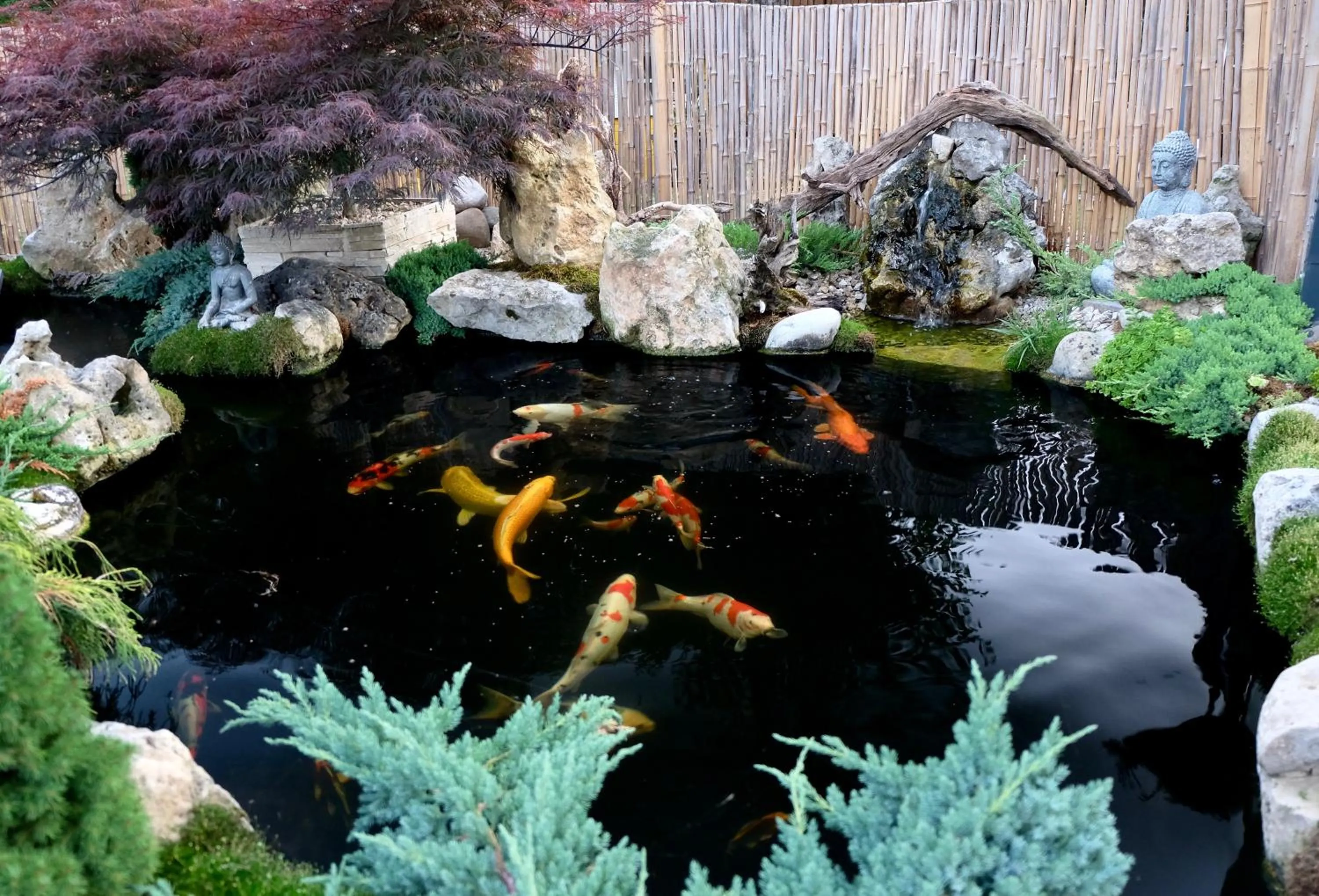 Gästehaus Biedermann