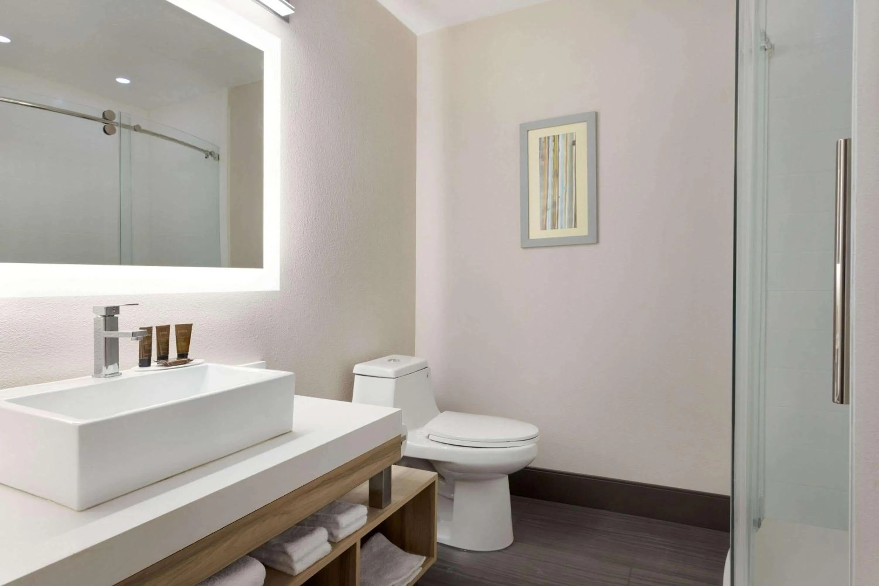 Bathroom in Wingate by Wyndham Murfreesboro-NEAR MTSU