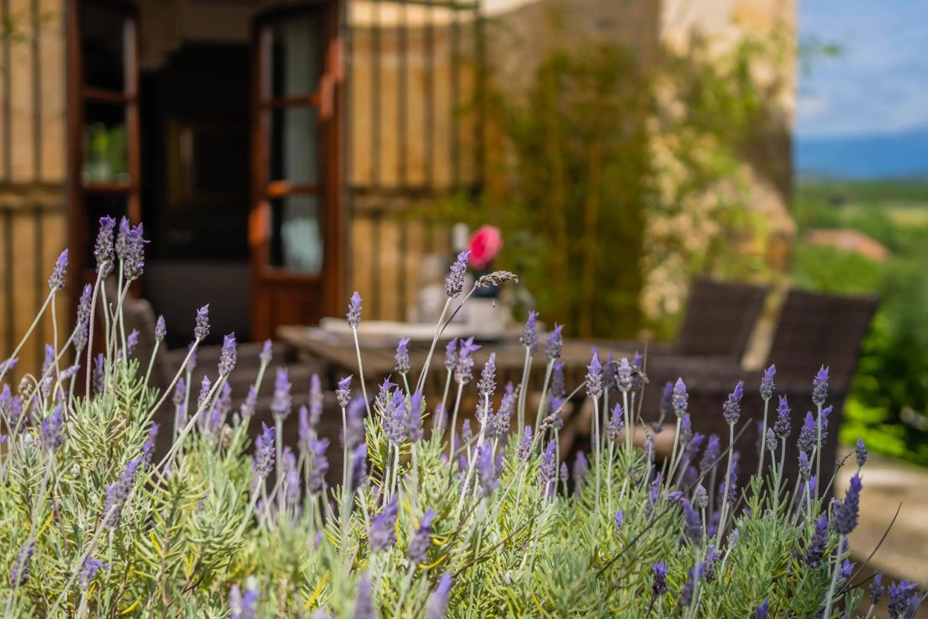 Hotel Palacio De Luko