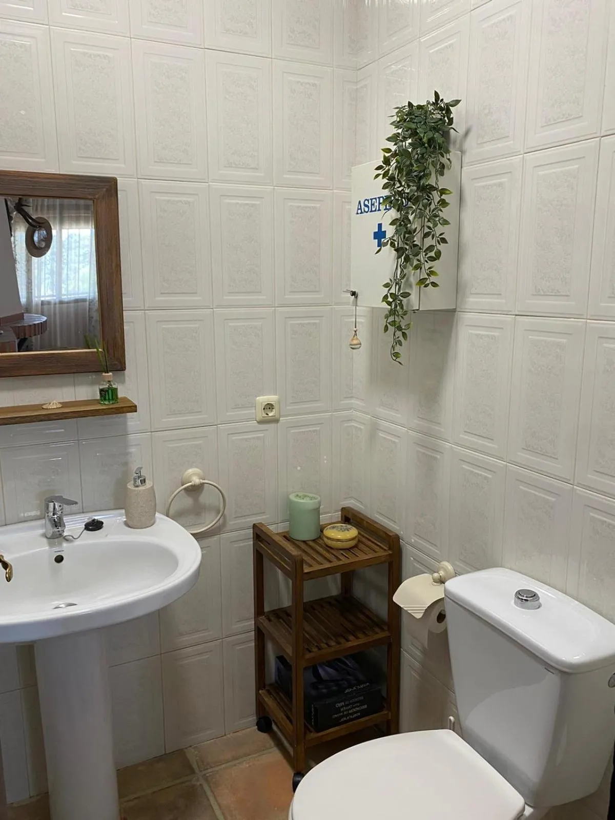 Toilet in Las Chorreras del Orejón 1