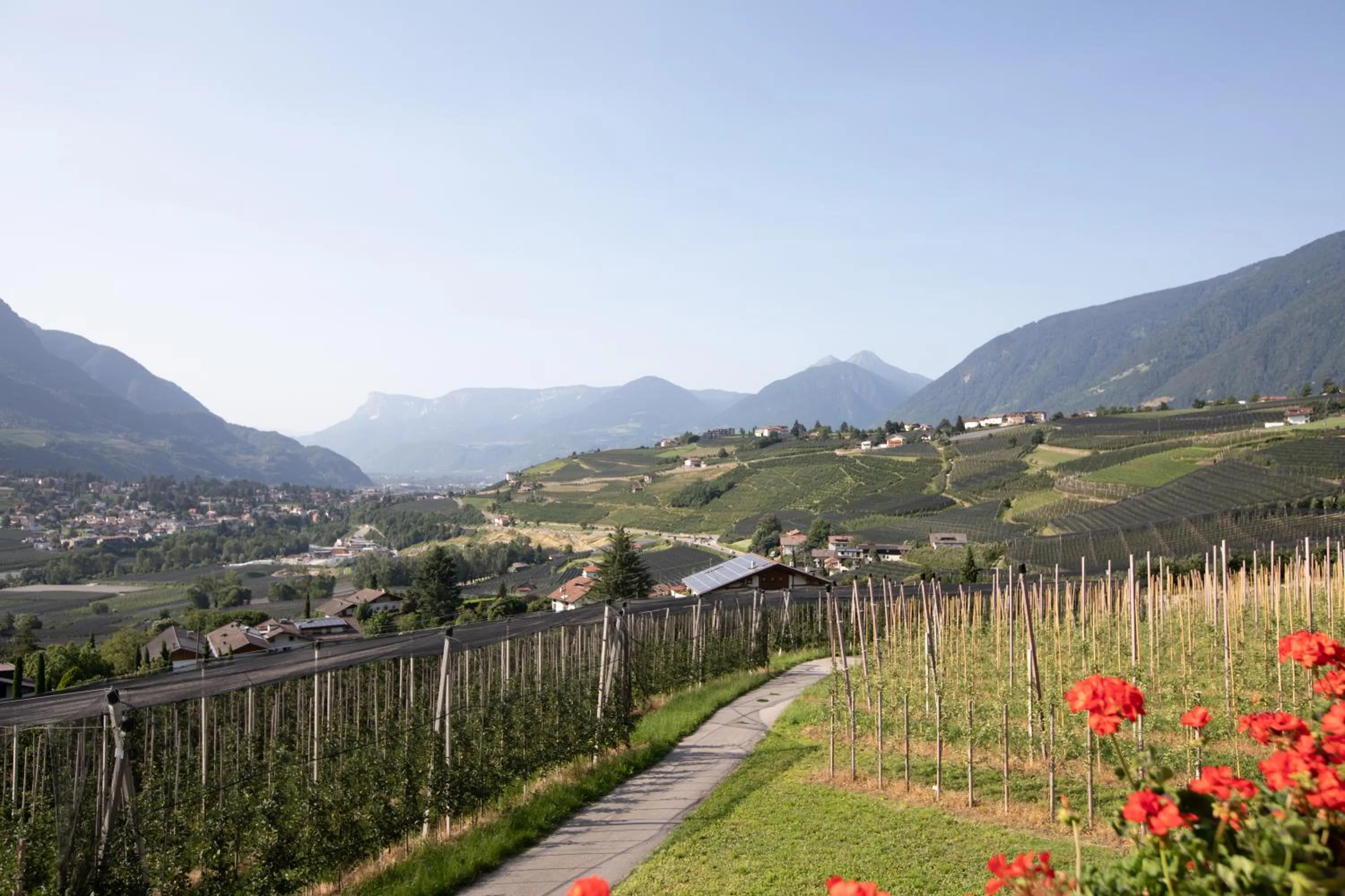 View (from property/room) in Nössinghof