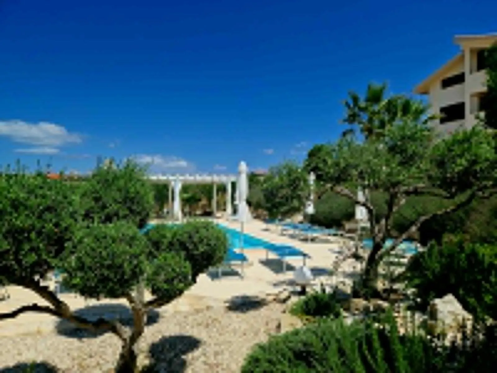 Garden in Casa California